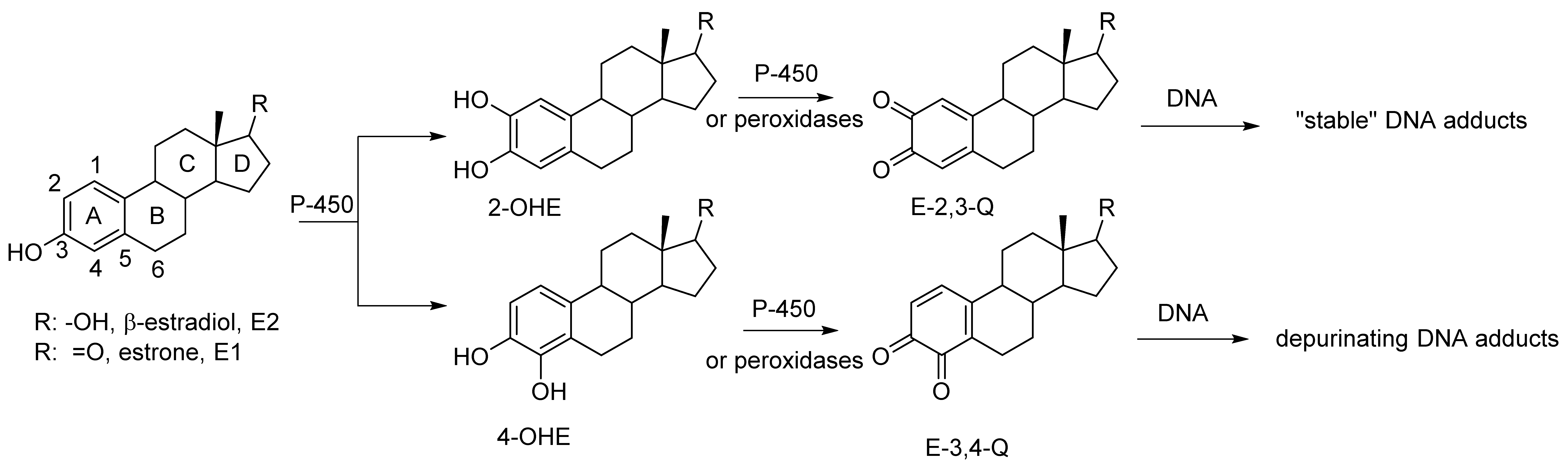 Metabolites 05 00475 g001