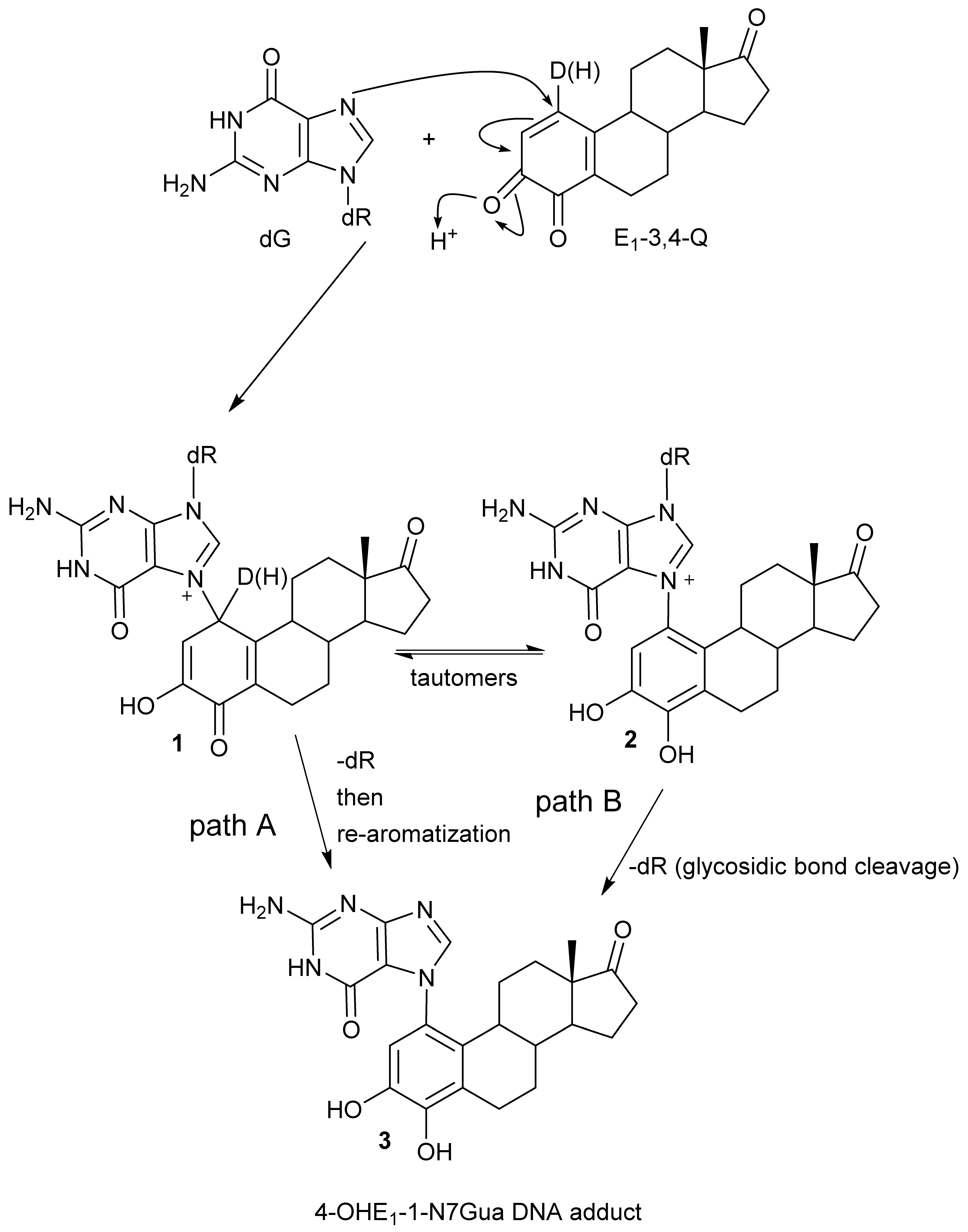 Metabolites 05 00475 g002