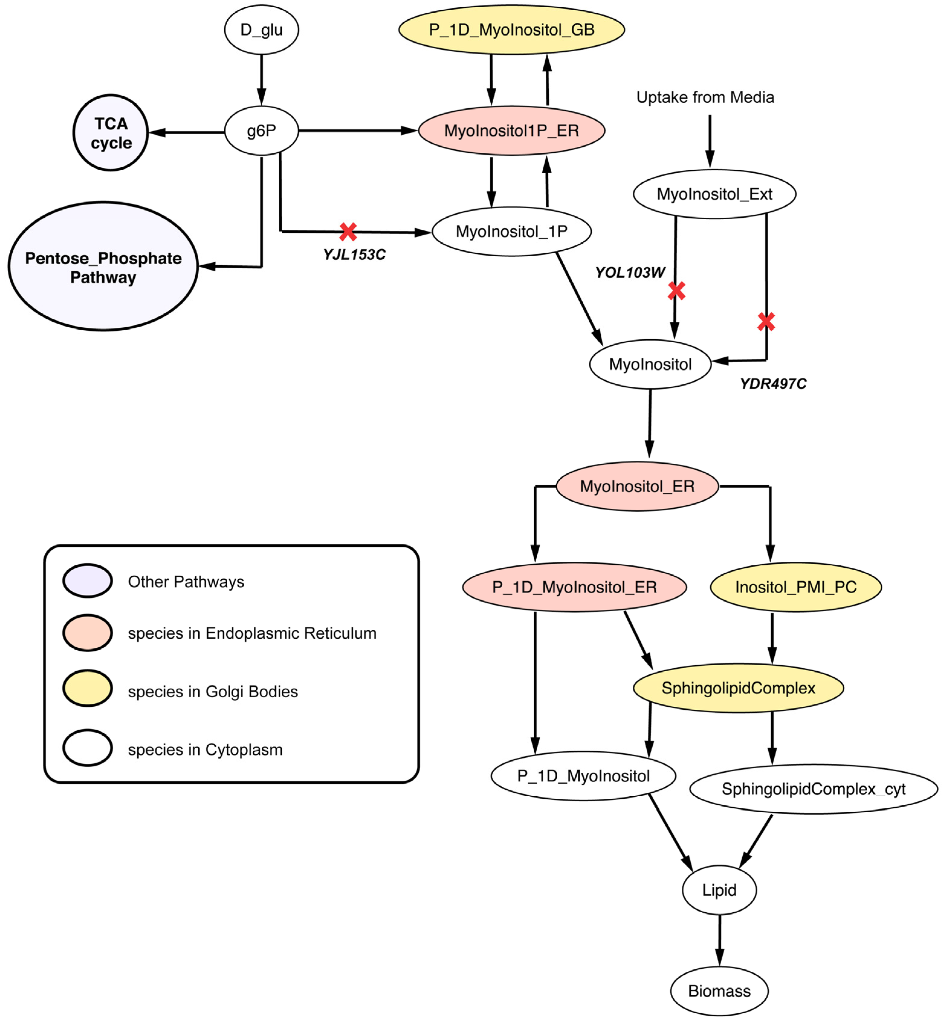 Metabolites 05 00536 g010