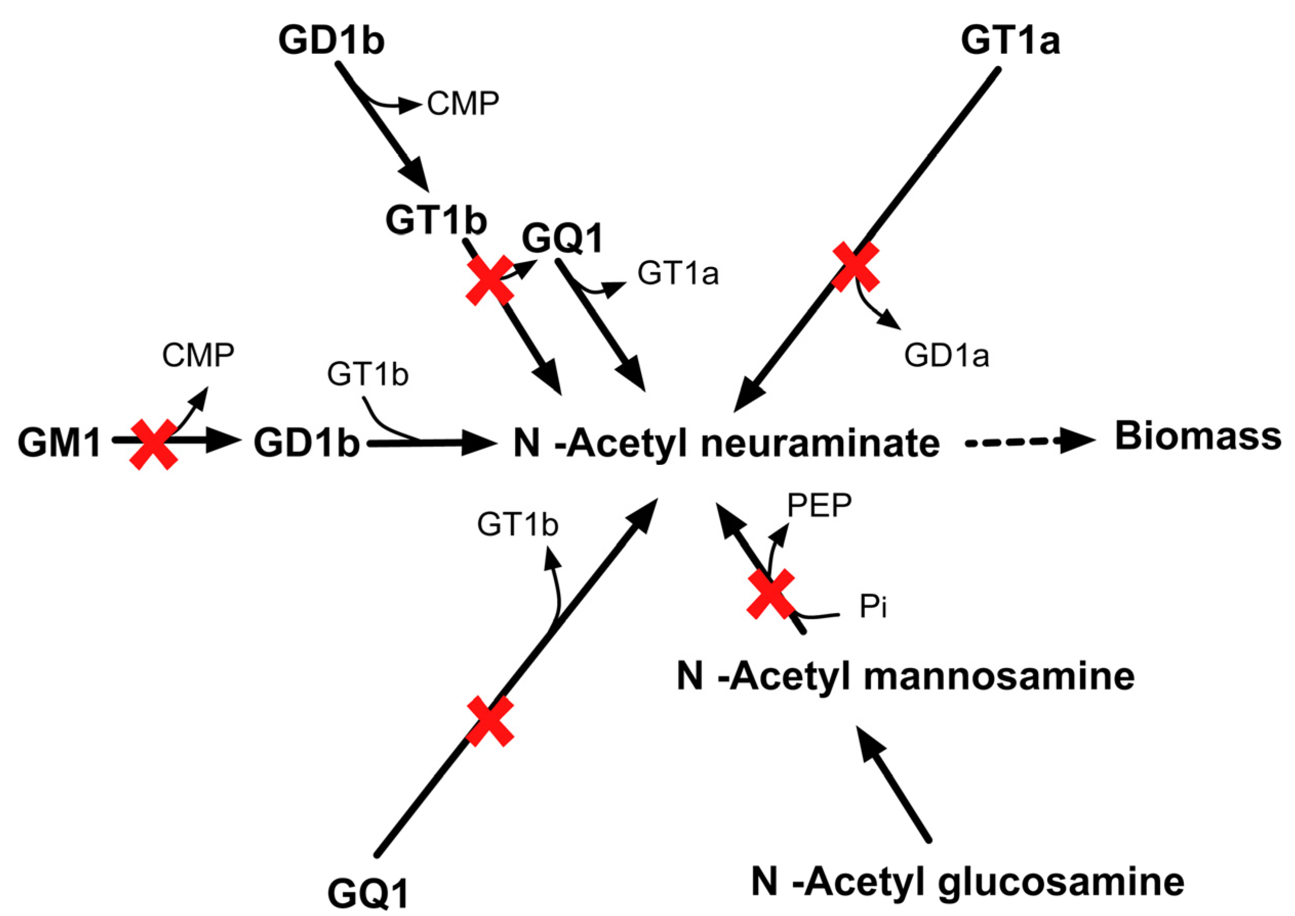 Metabolites 05 00536 g016