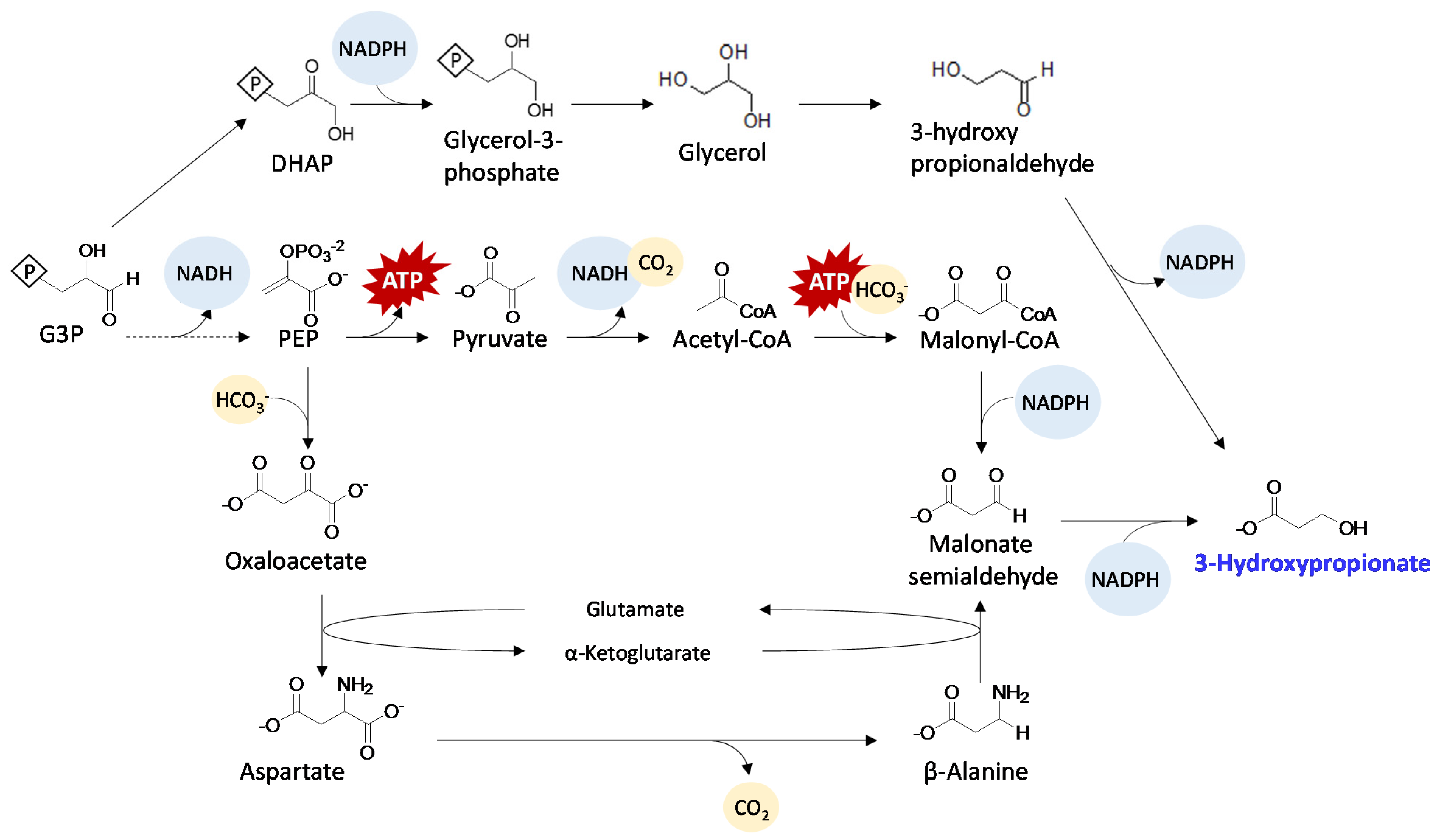 Metabolites 05 00636 g005