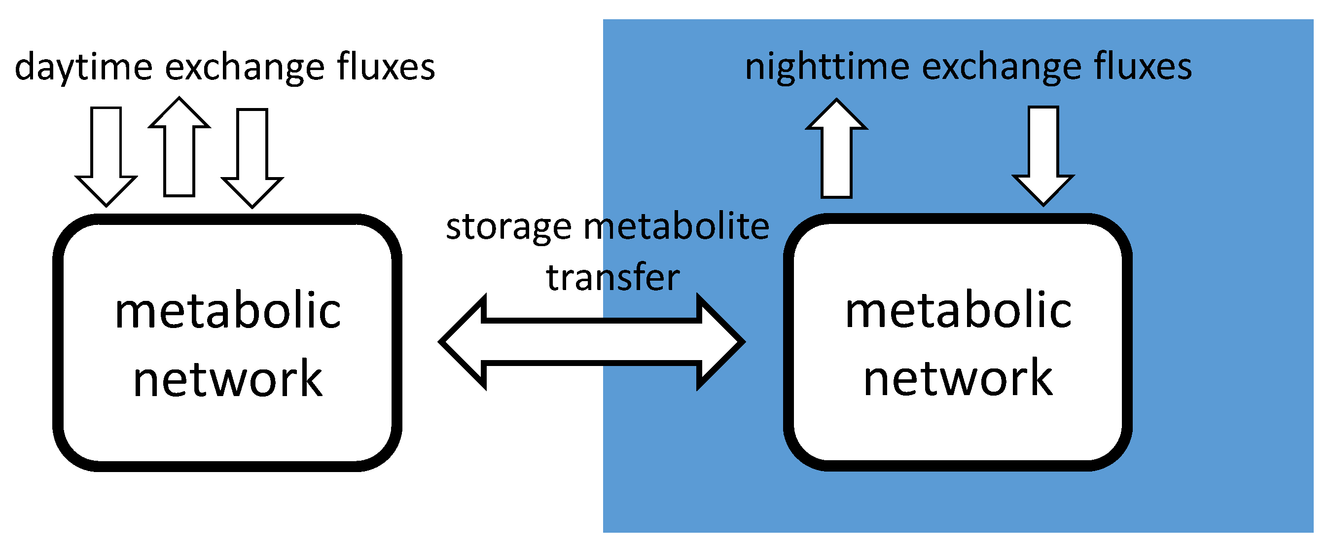 Metabolites 05 00659 g001
