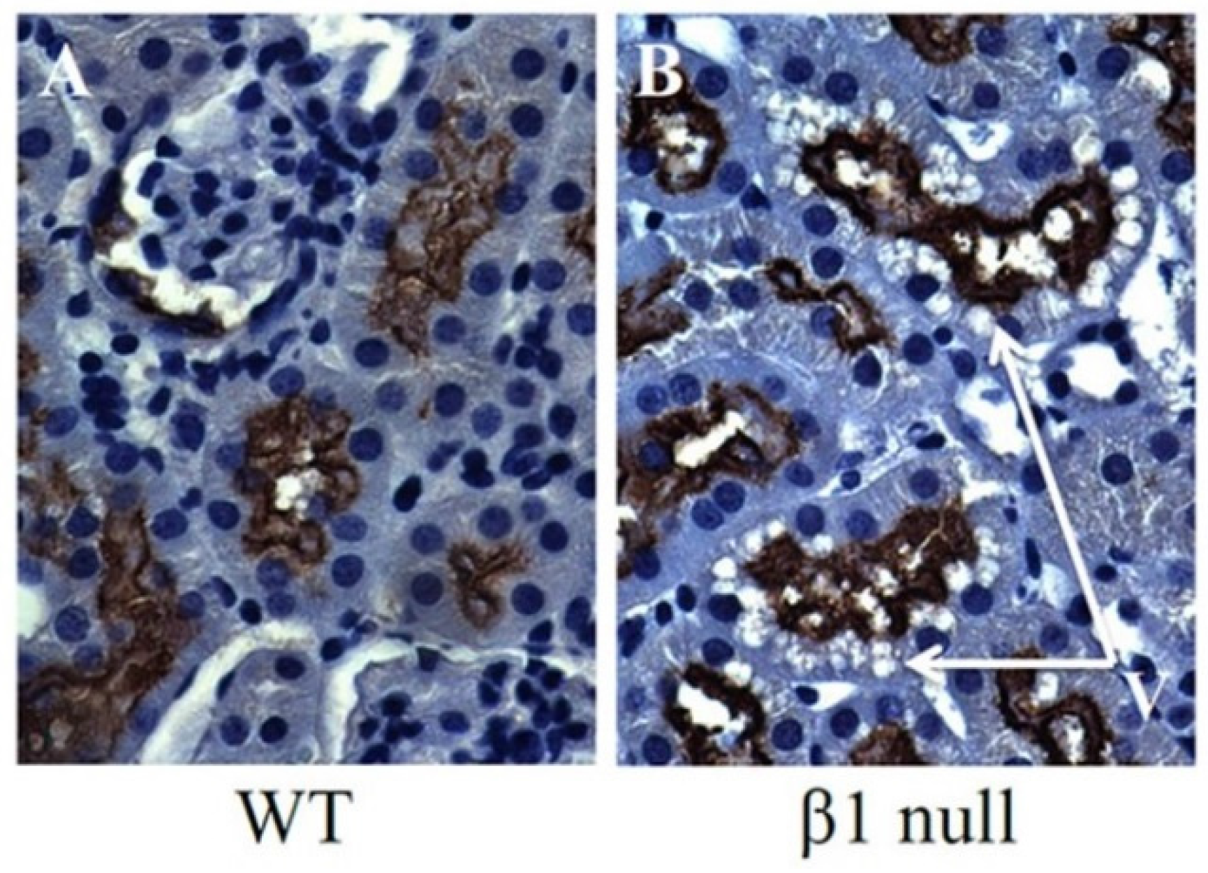 Metabolites 05 00720 g002