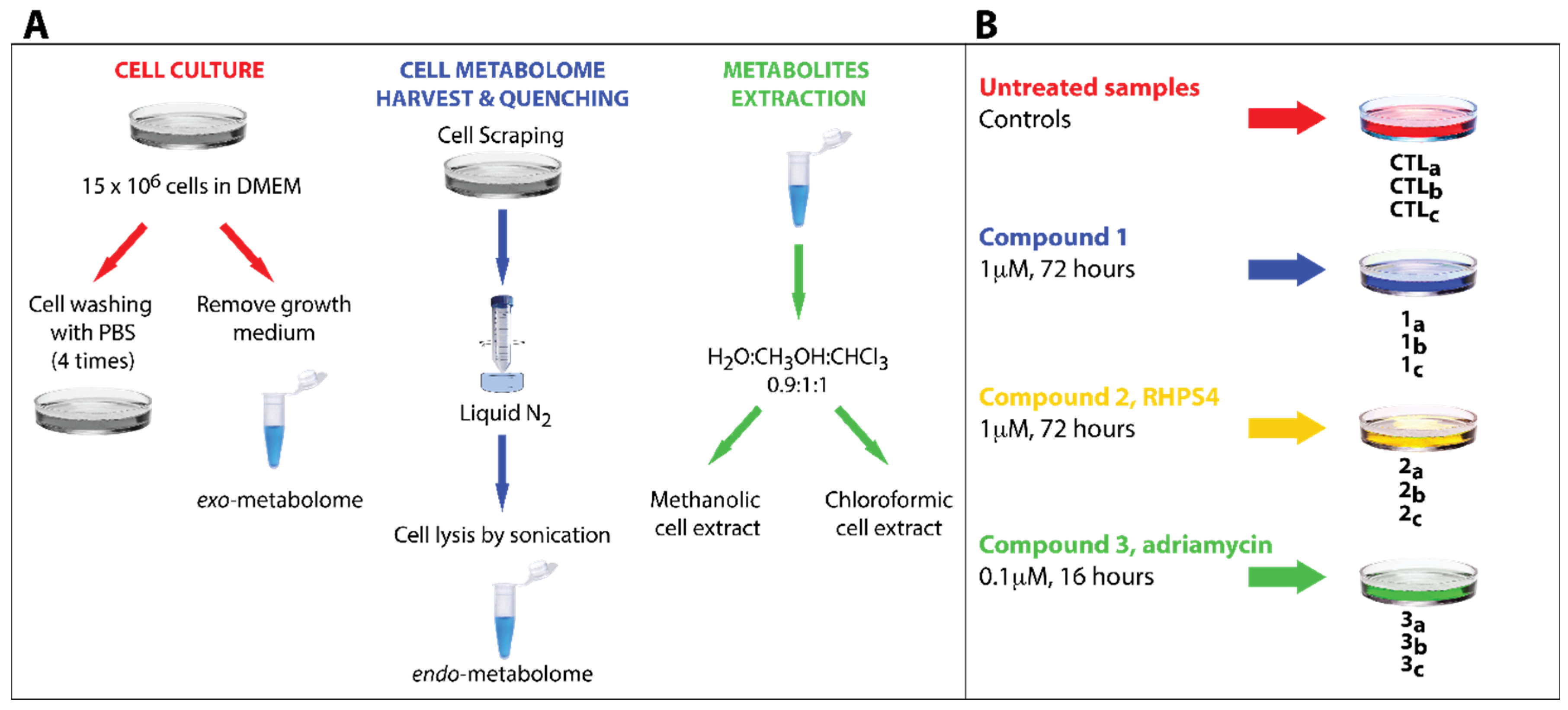 Metabolites  Free Full-Text  Development of an Optimized 