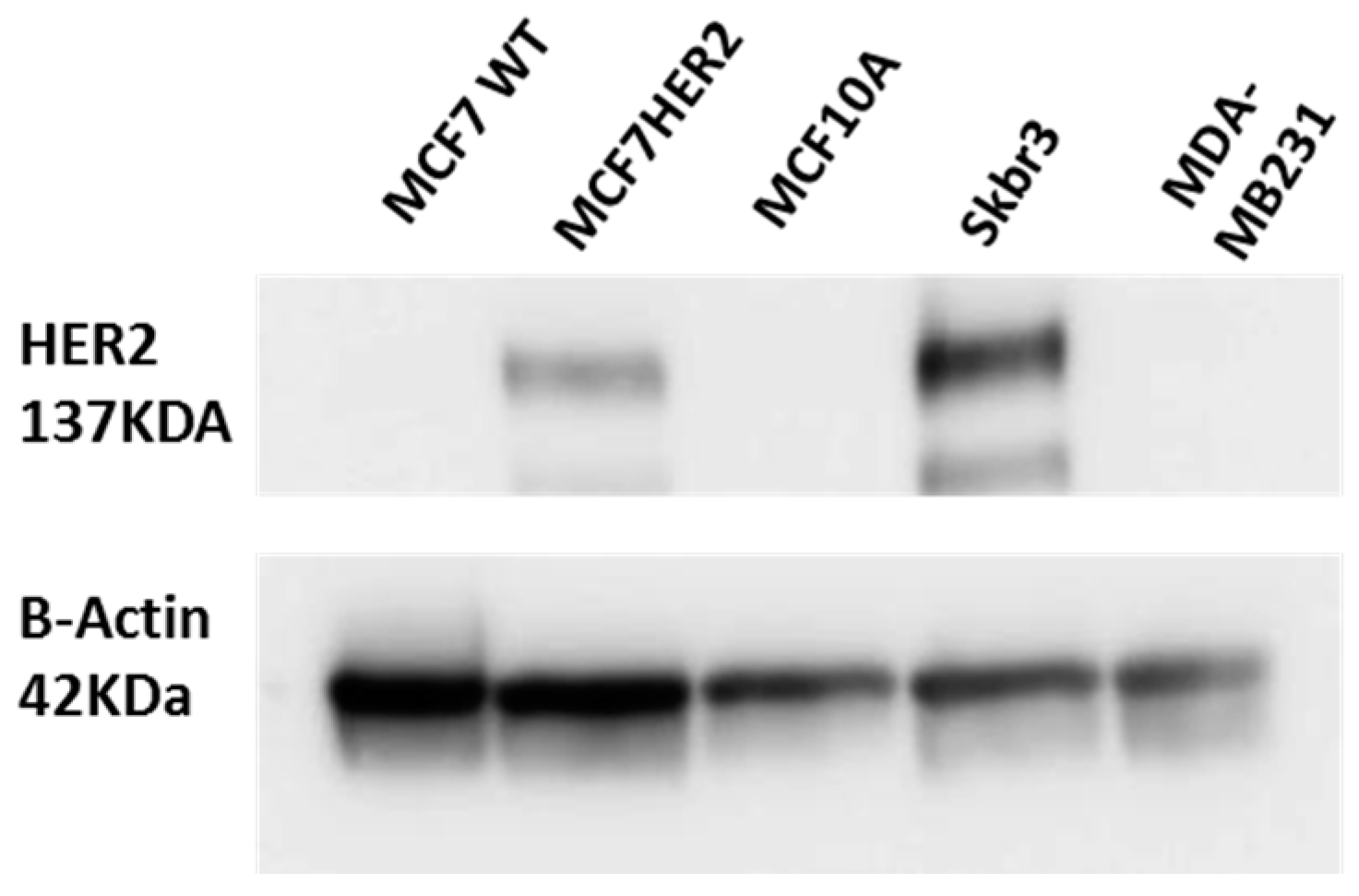 Metabolites 06 00016 g001