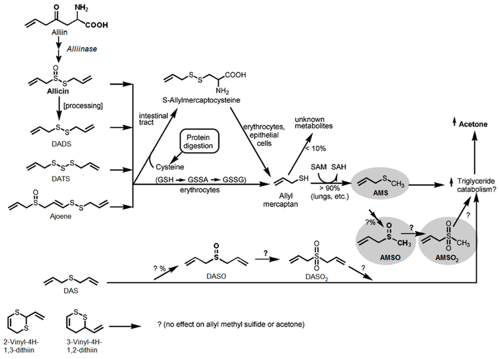 Metabolites 06 00018 g005 1024