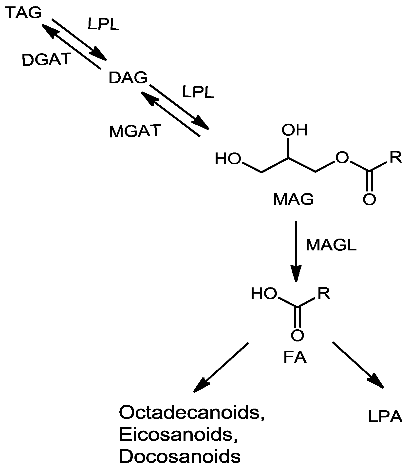 Metabolites 06 00025 g001 1024