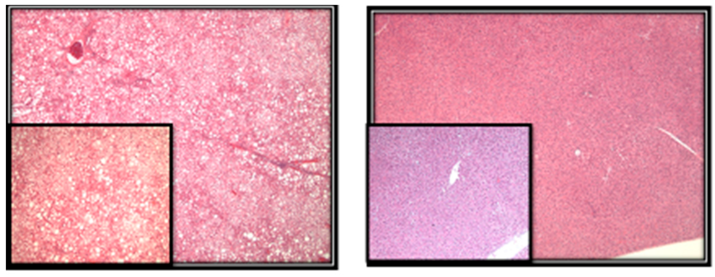 Metabolites 07 00026 g002