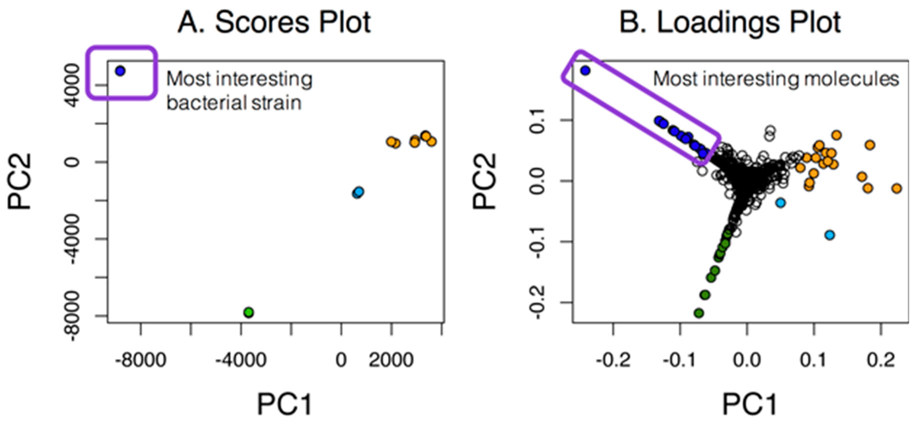 Metabolites 07 00034 g001 550