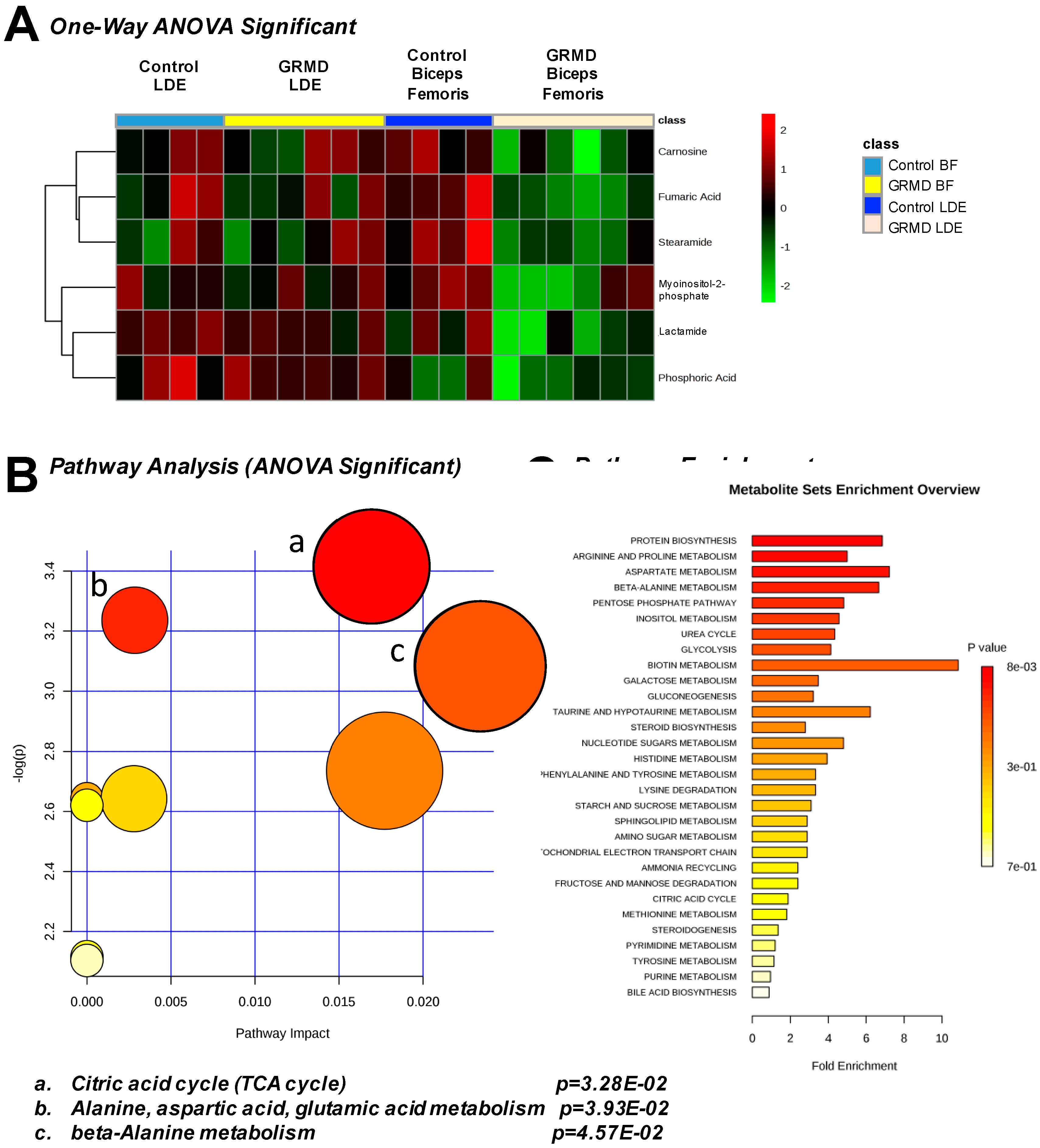 Metabolites 07 00038 g004
