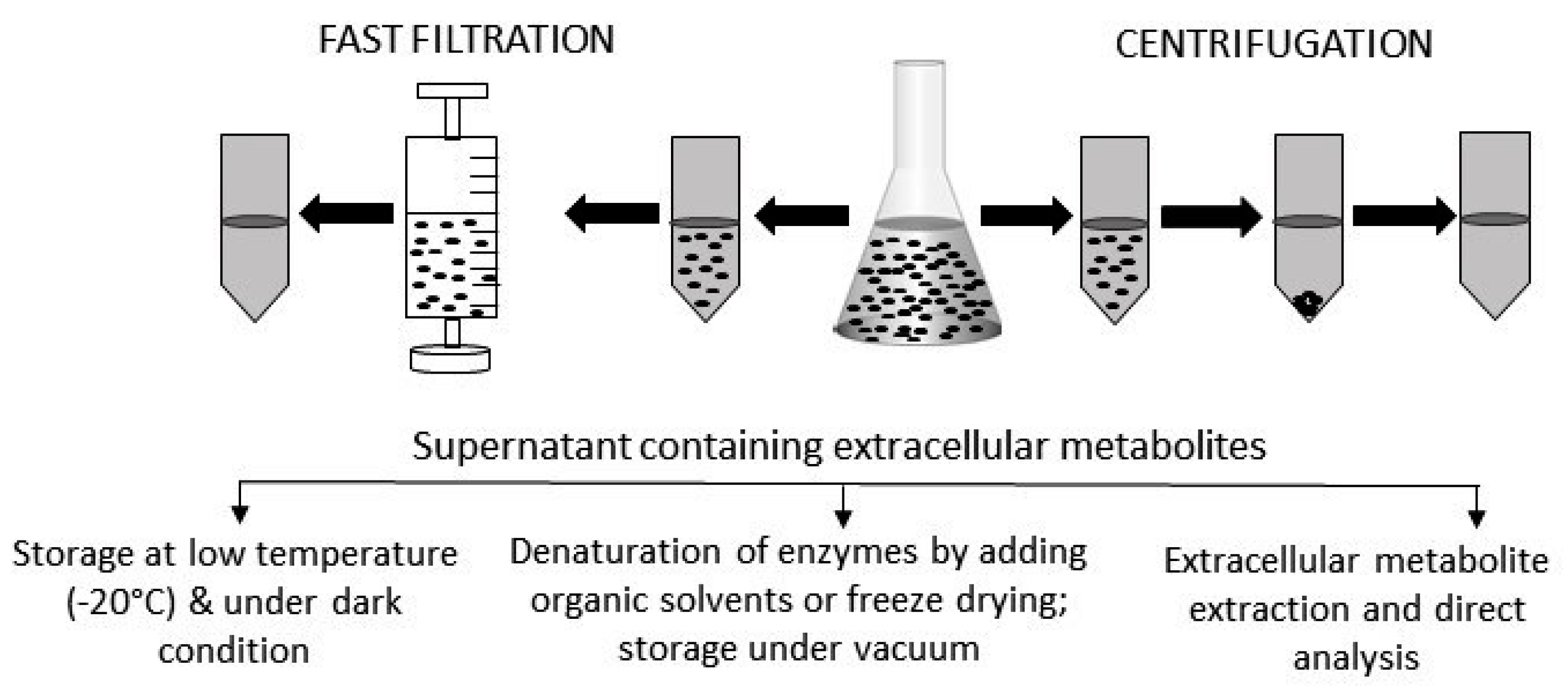 Metabolites 07 00043 g002