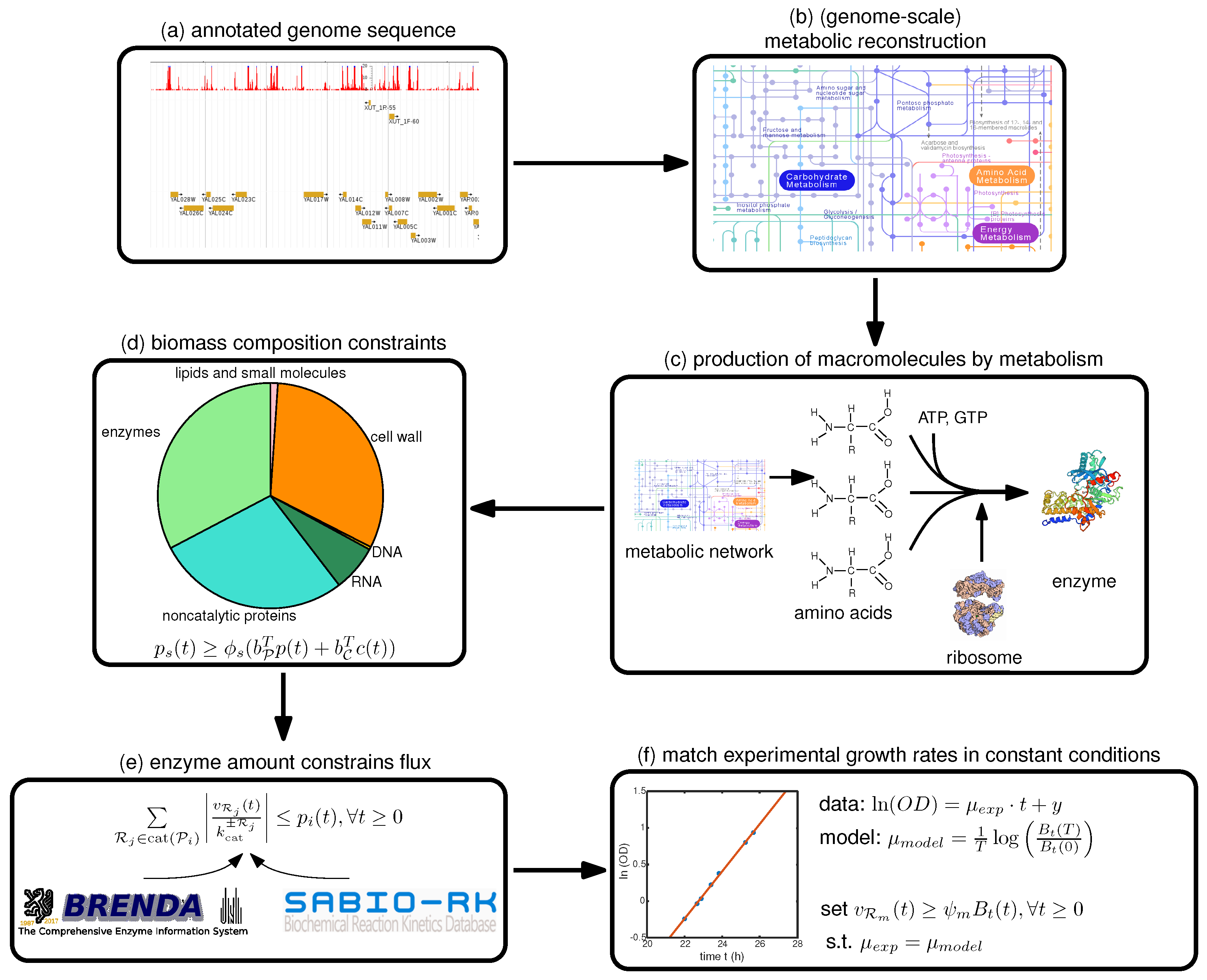 Metabolites 07 00047 g001