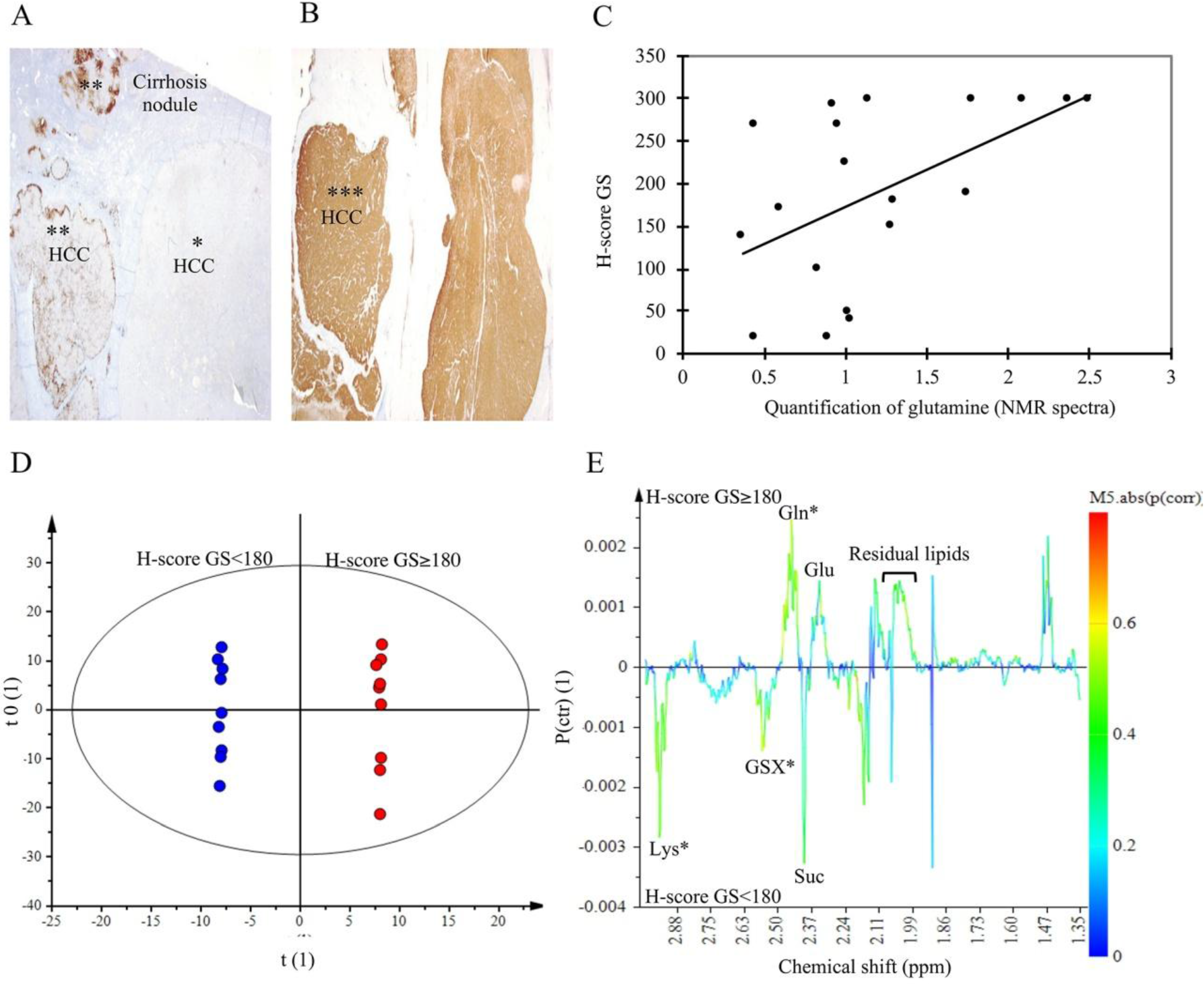 Metabolites 07 00049 g006 550