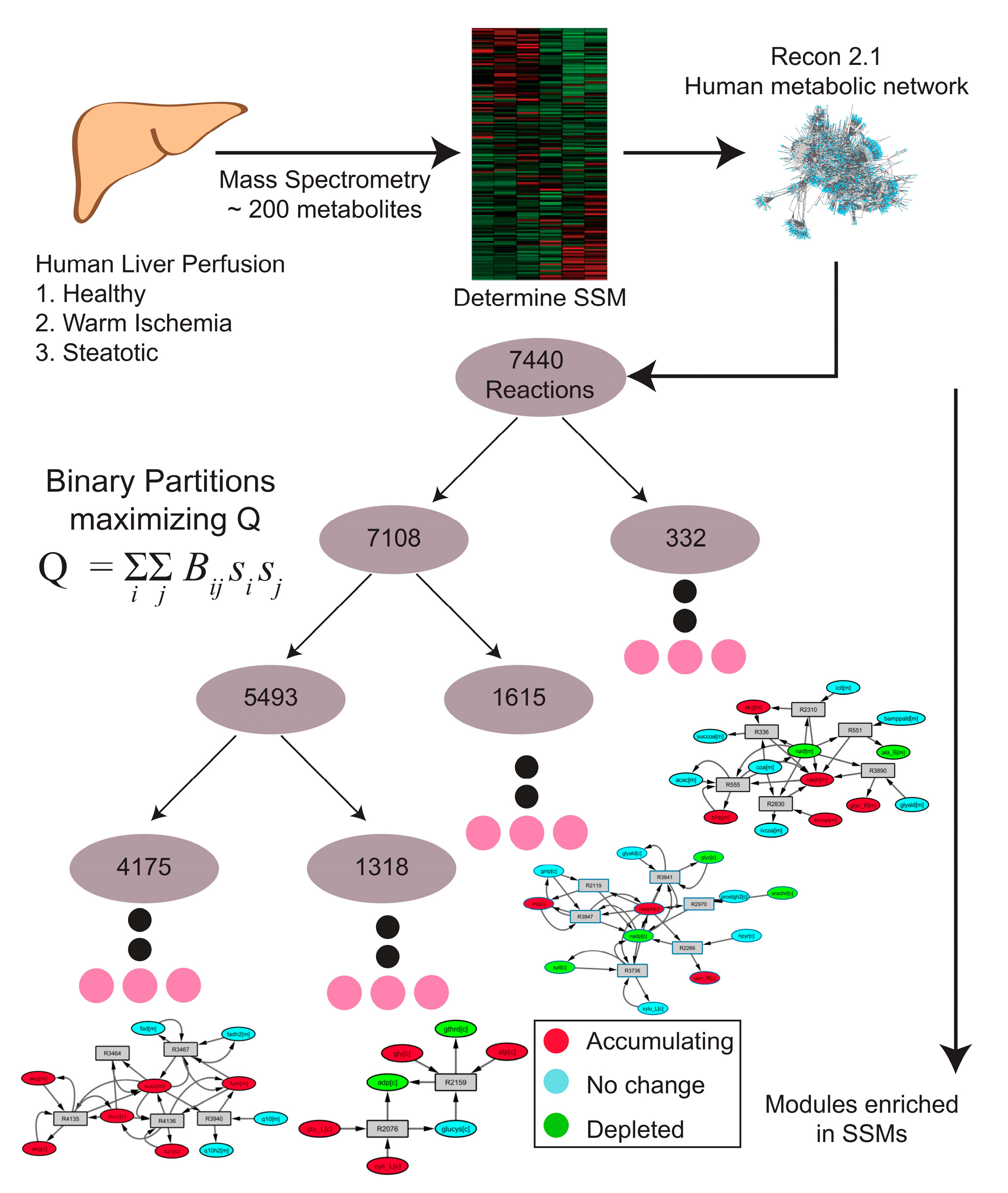 Metabolites 07 00058 g002