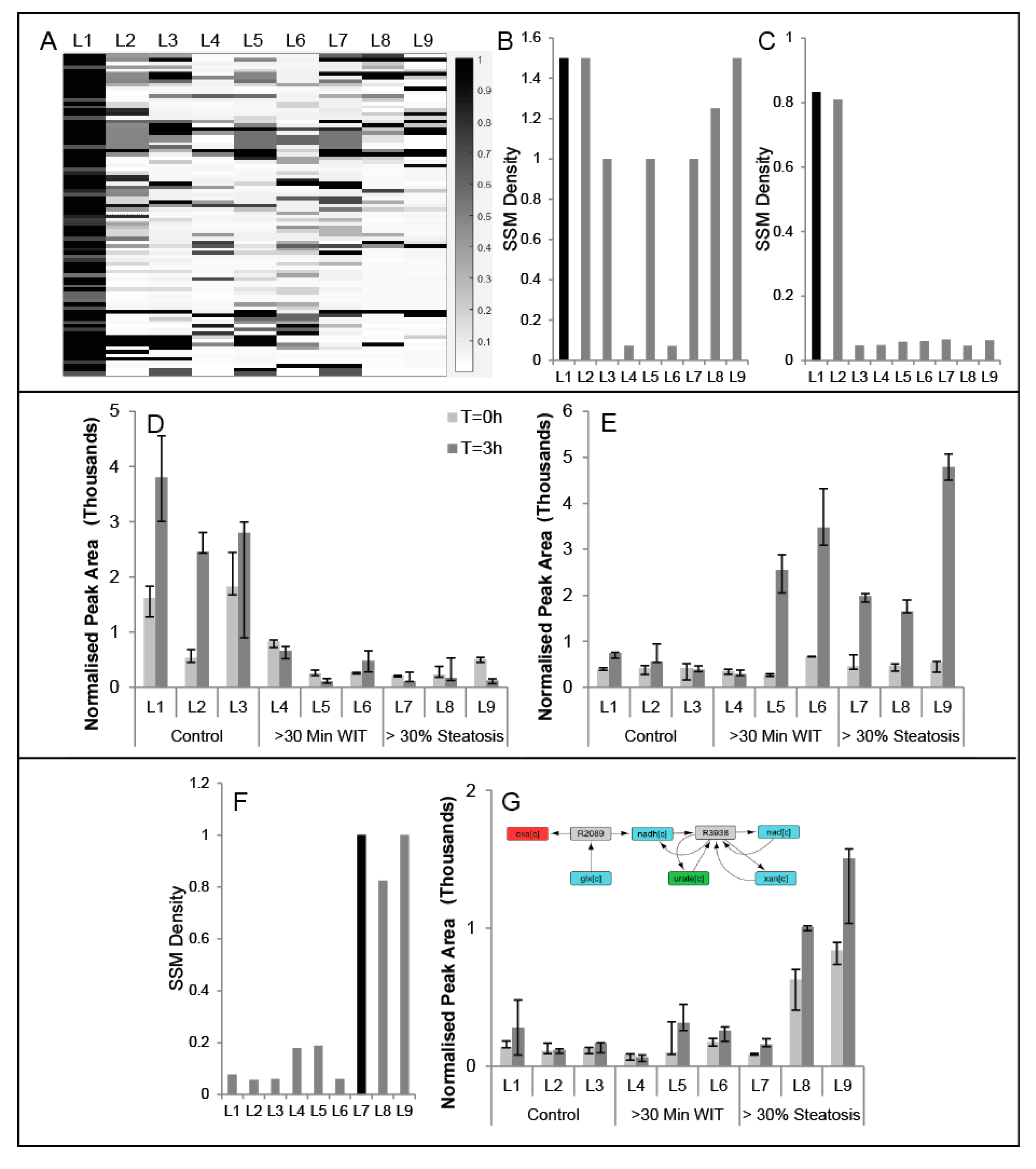 Metabolites 07 00058 g004