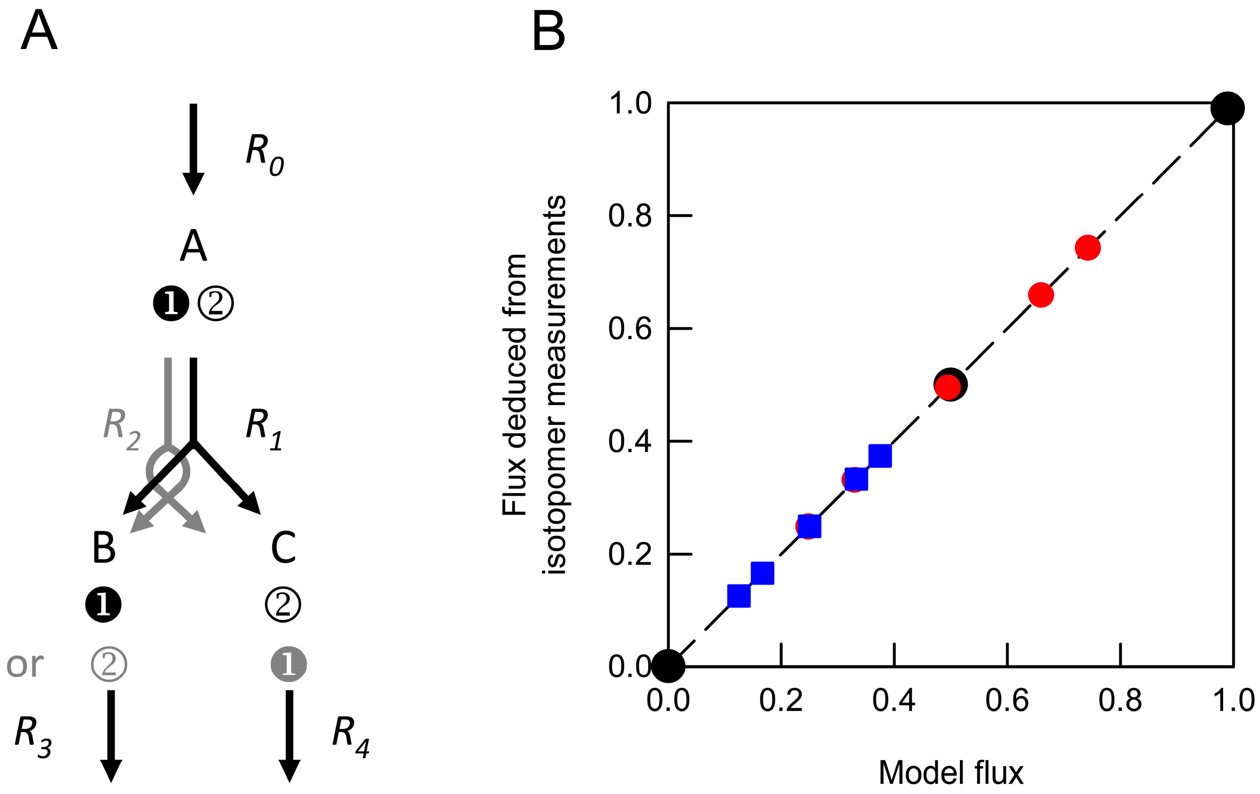 Metabolites 07 00059 g001