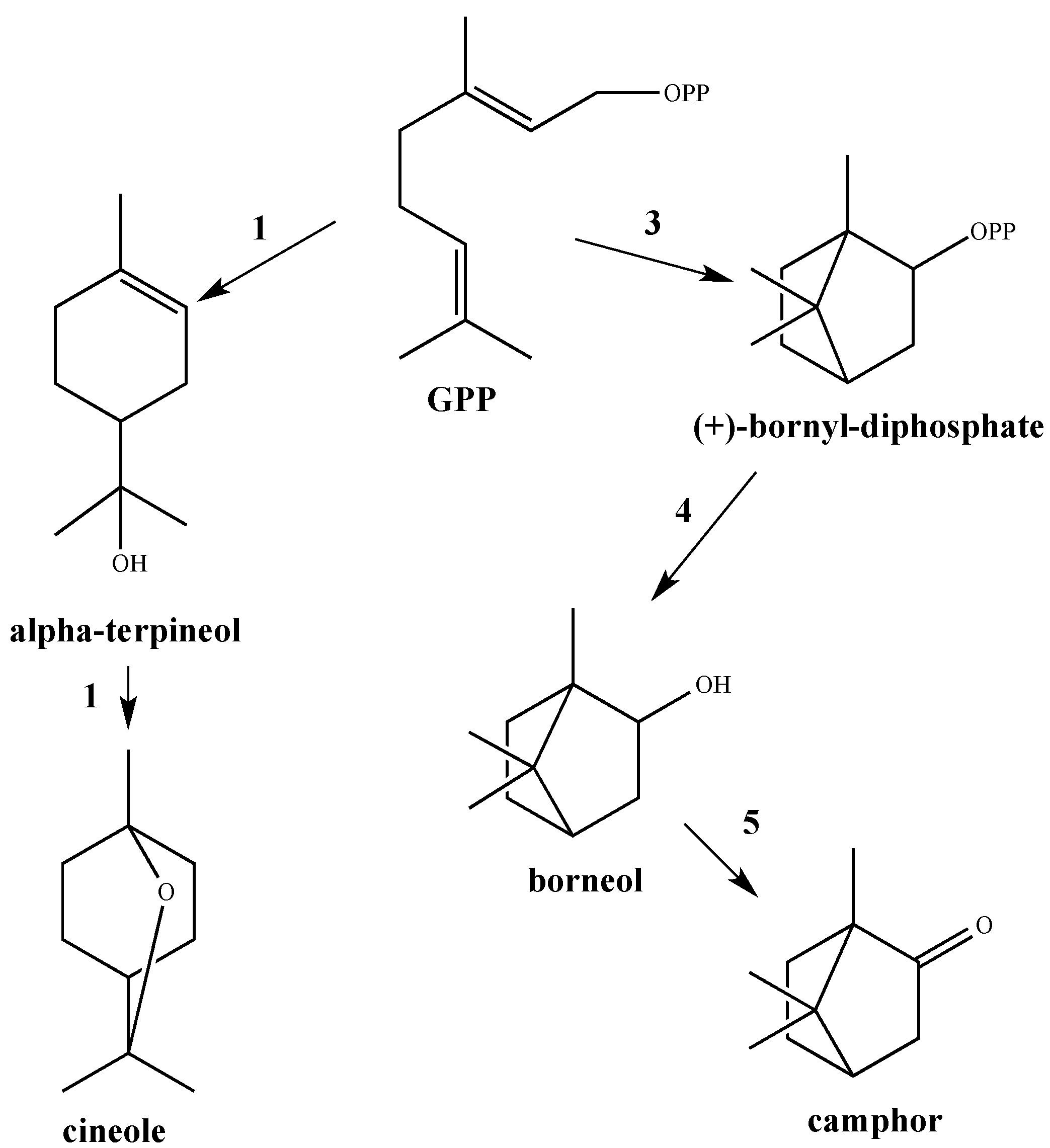 Metabolites 07 00065 g002