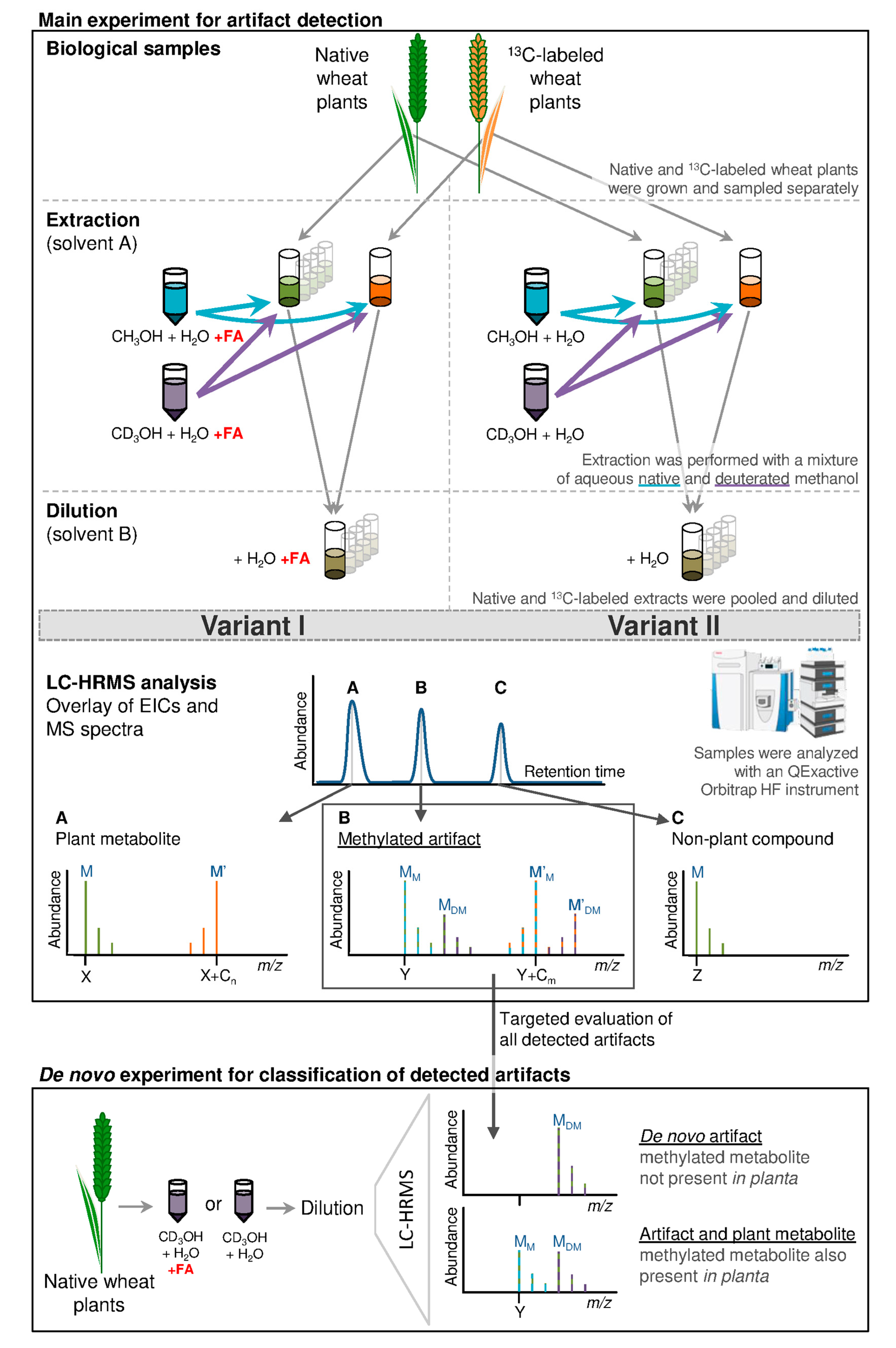 Metabolites 08 00001 g001 Metabolites 08 00001 g001