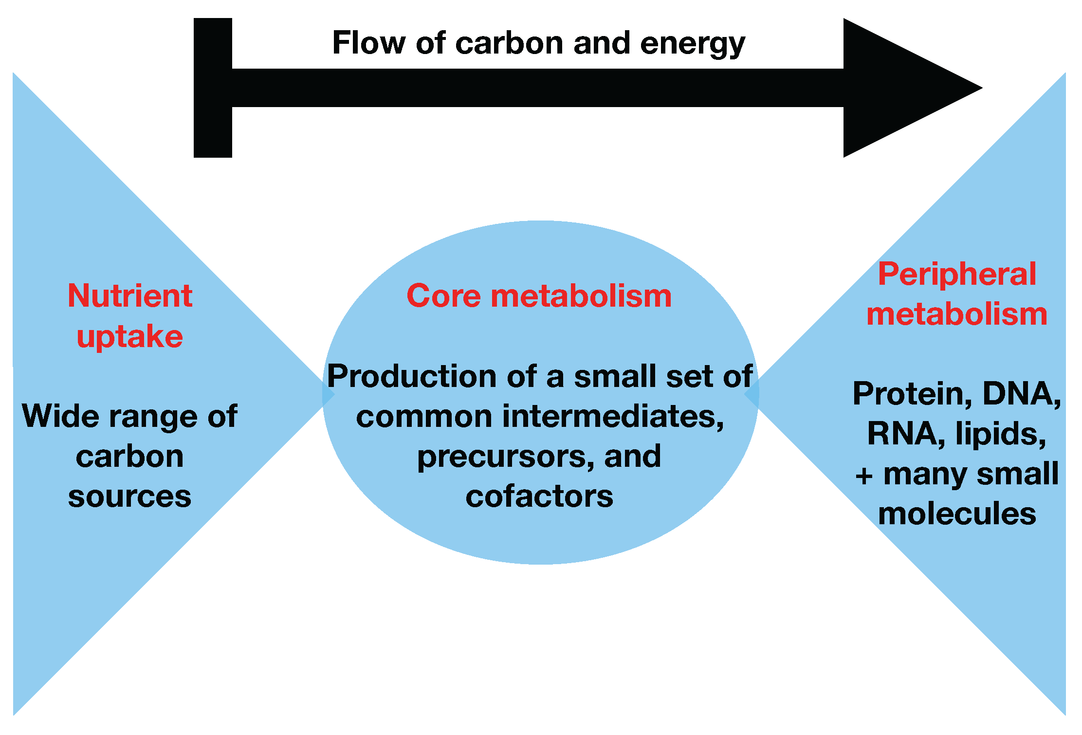 Metabolites 08 00003 g001