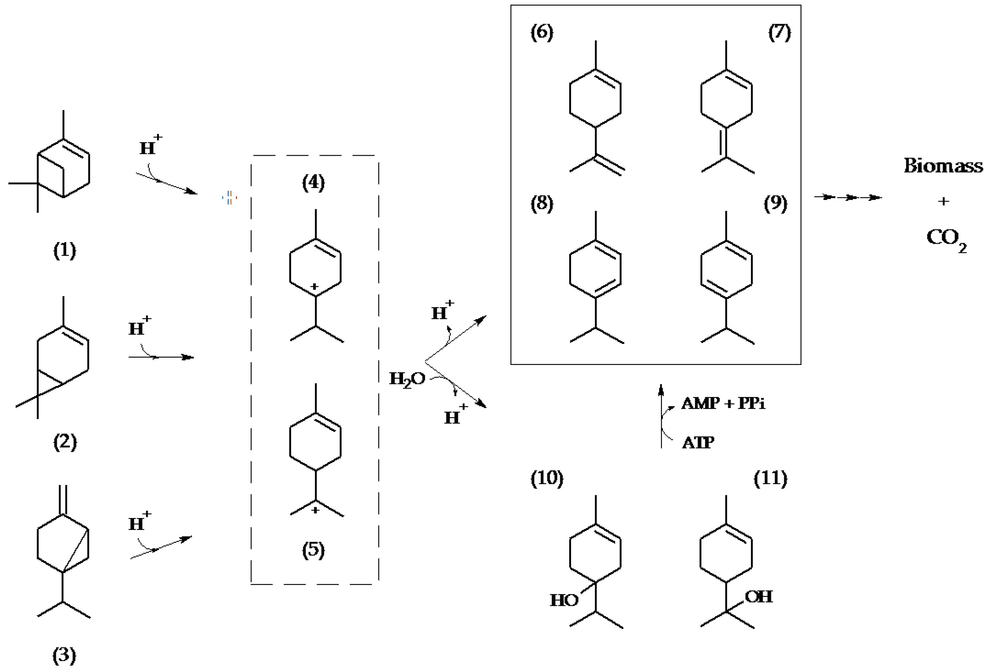 Metabolites 08 00012 g003 Metabolites 08 00012 g003