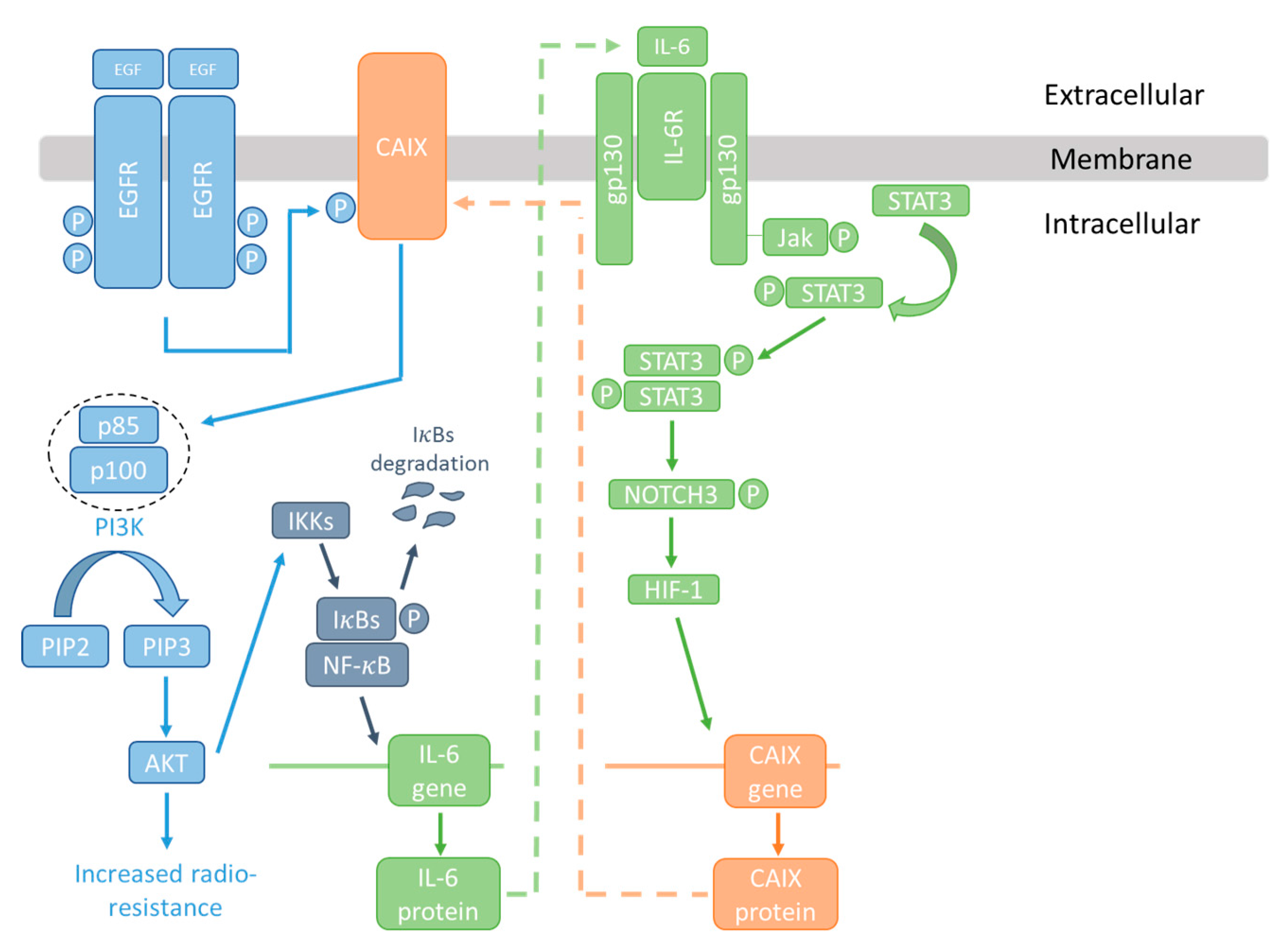 Metabolites 08 00013 g003 Metabolites 08 00013 g003