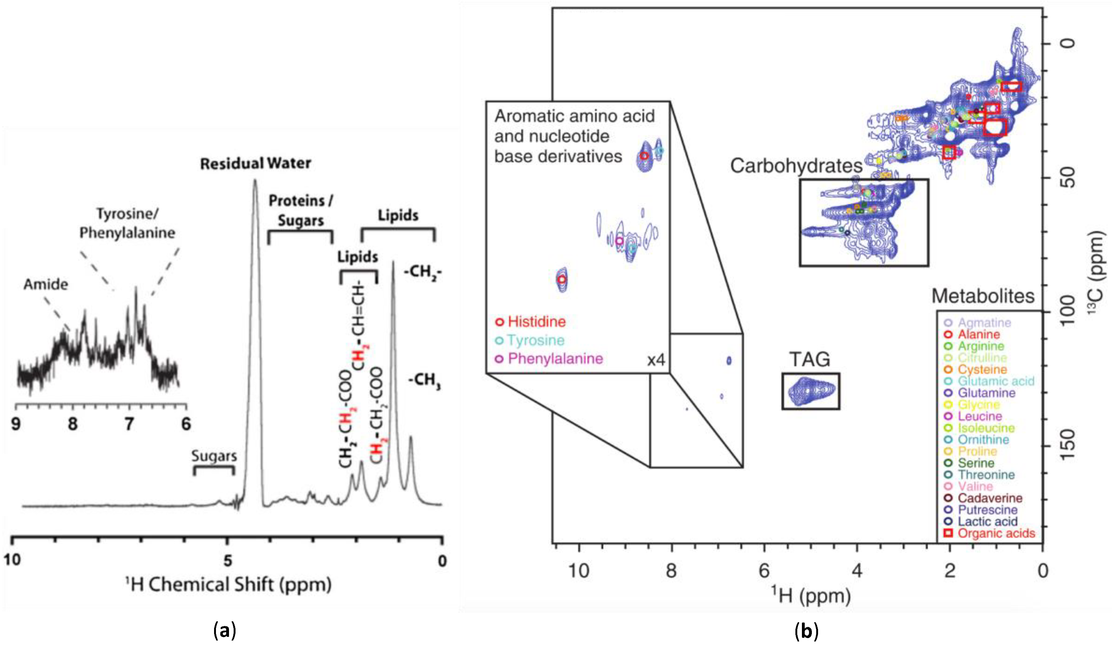 Metabolites Free Full Text In Vivo Nmr Spectroscopy A Powerful And Complimentary Tool For Understanding Environmental Toxicity Html