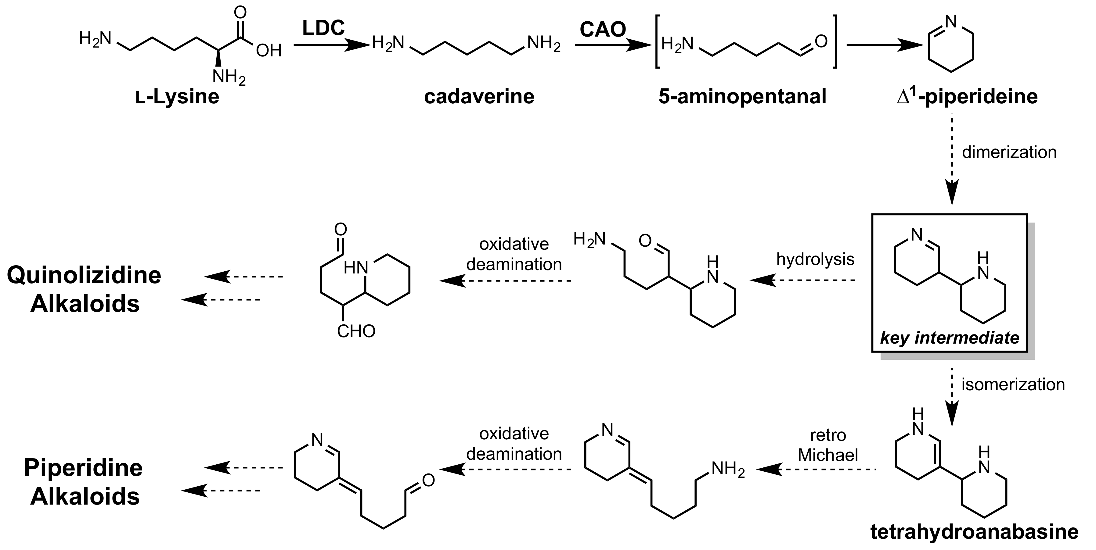 Metabolites 08 00048 sch001