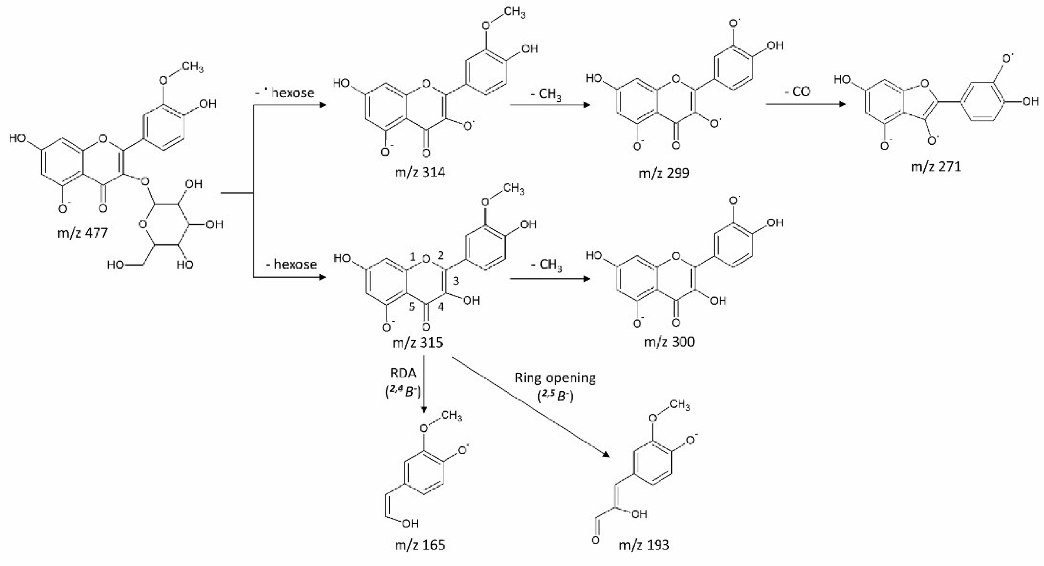Metabolites 08 00056 g004 Metabolites 08 00056 g004