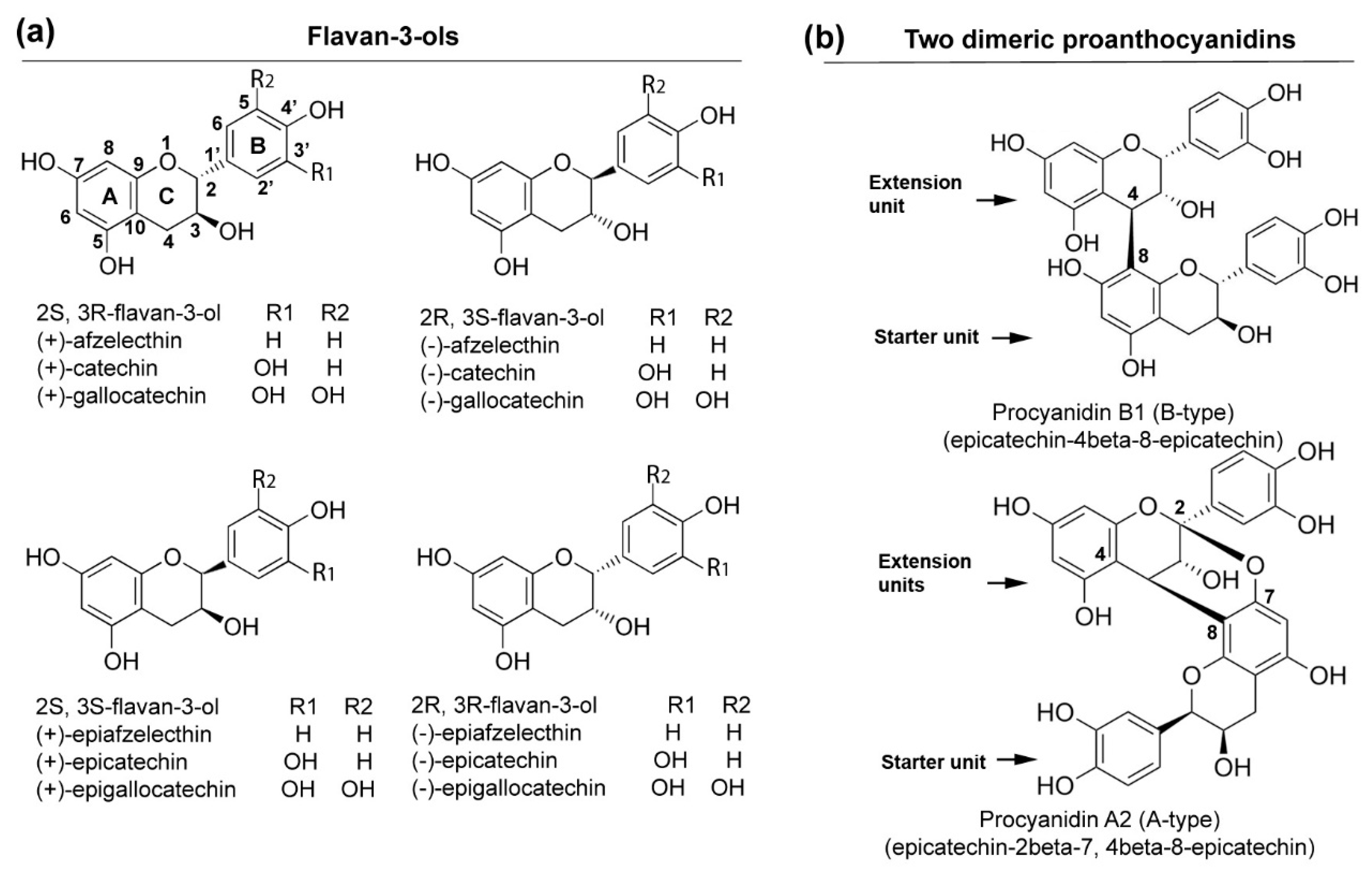 Metabolites 08 00057 g001 550