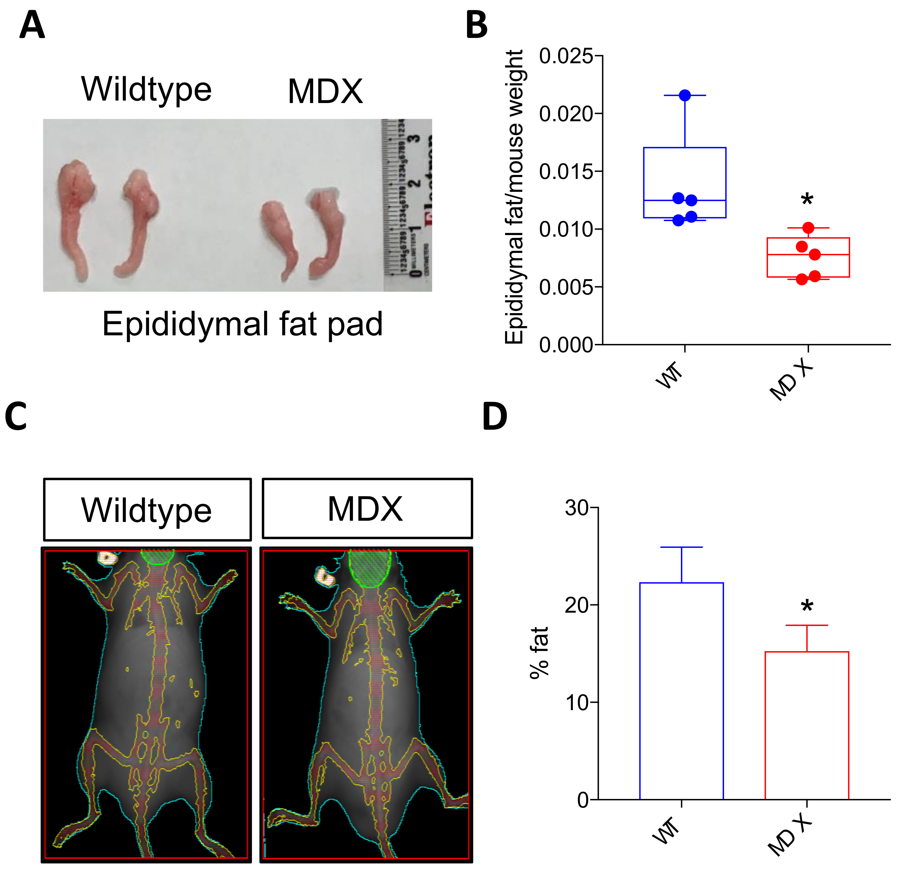 Metabolites 08 00061 g003