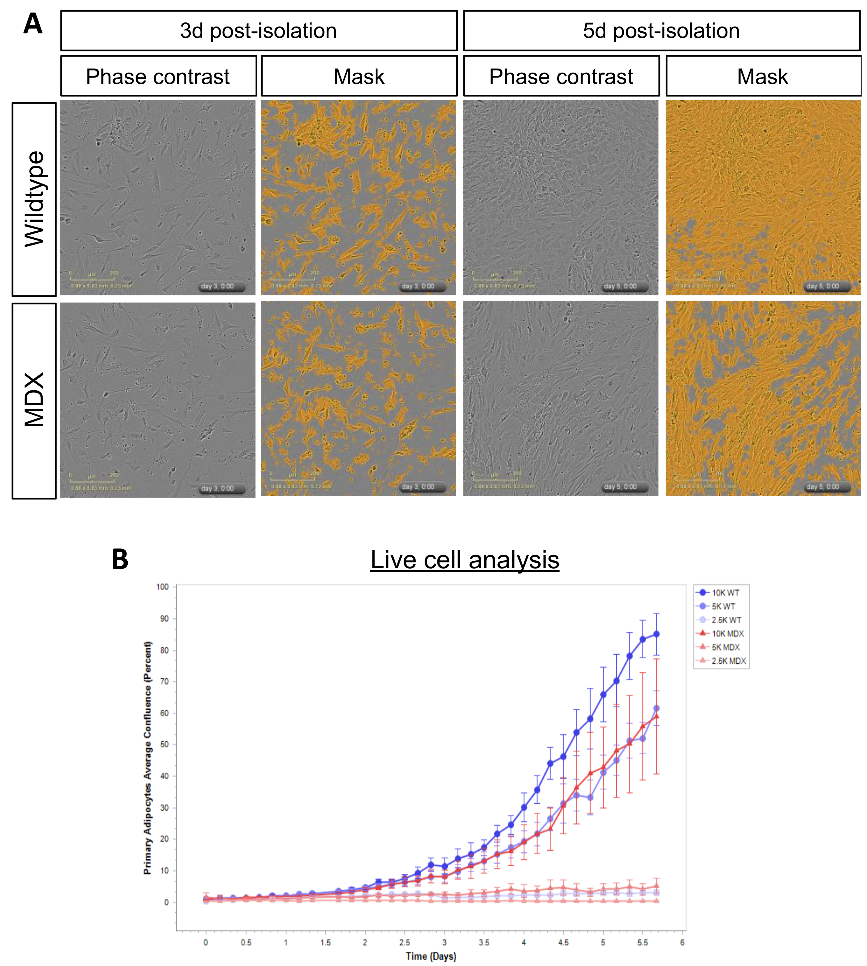 Metabolites 08 00061 g004