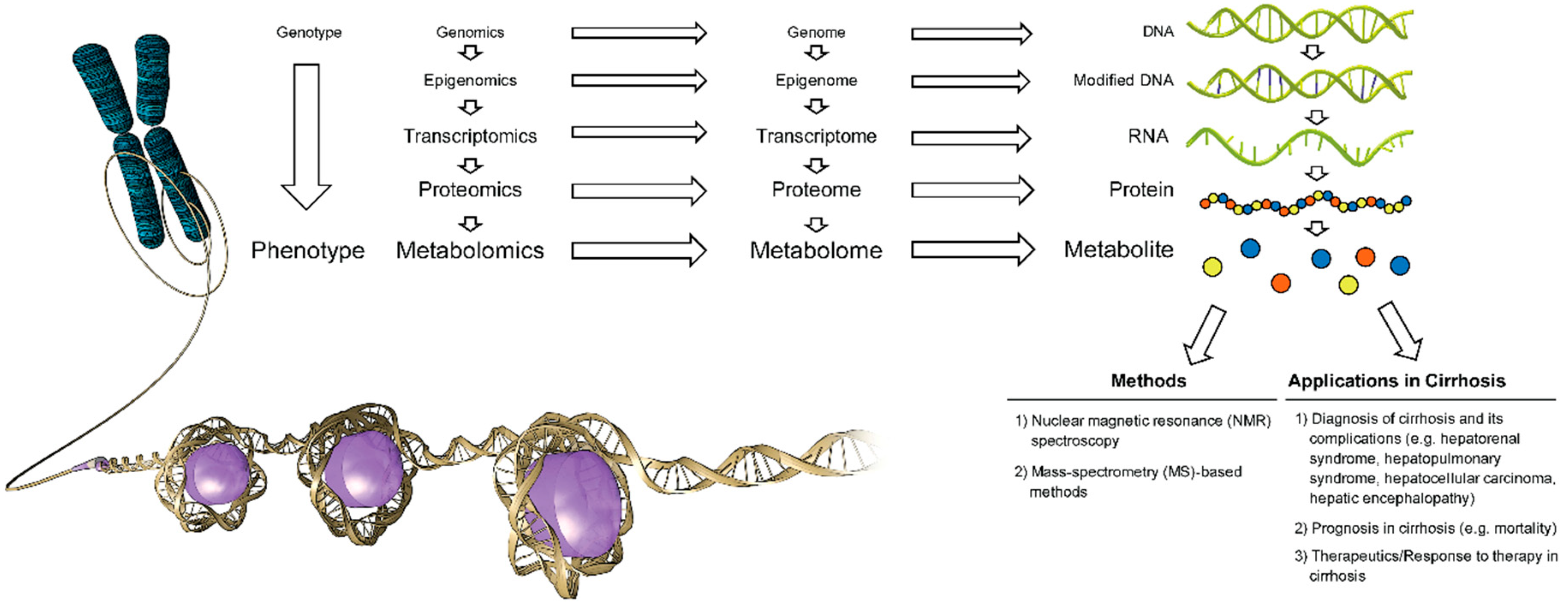 Metabolites 08 00067 g001 Metabolites 08 00067 g001