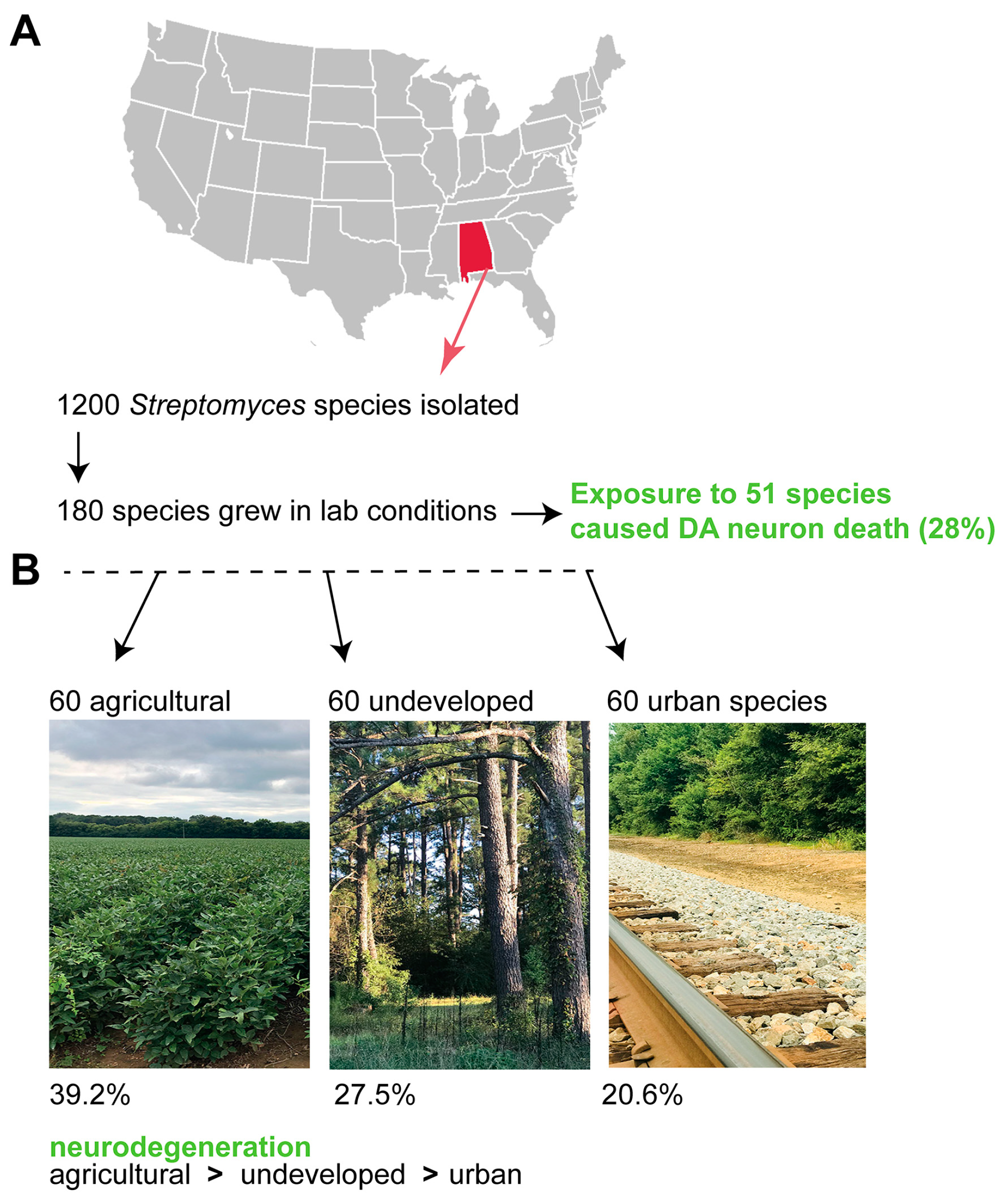 Metabolites 08 00070 g005 Metabolites 08 00070 g005