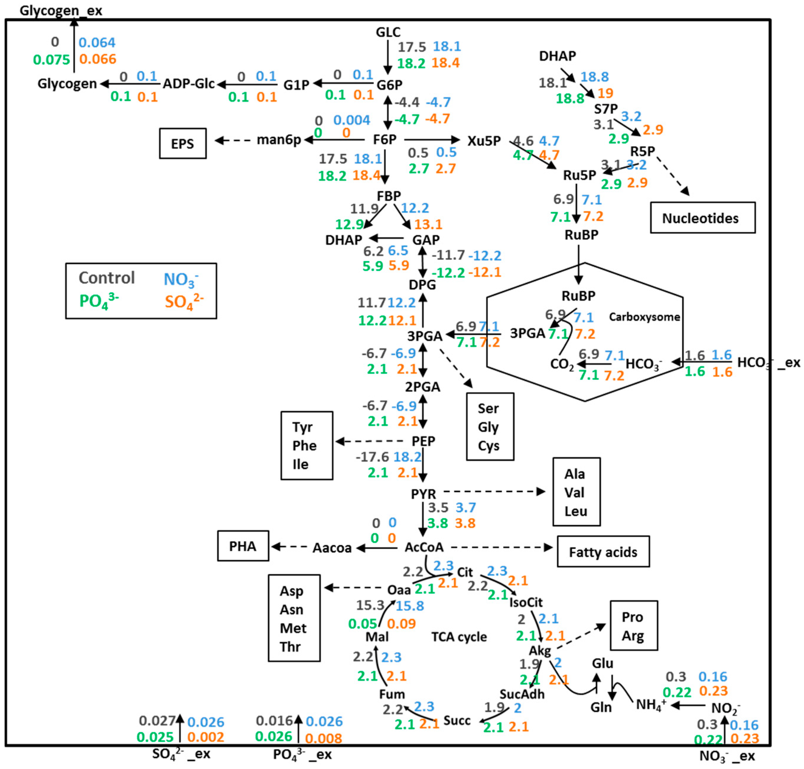 Metabolites 08 00084 g004