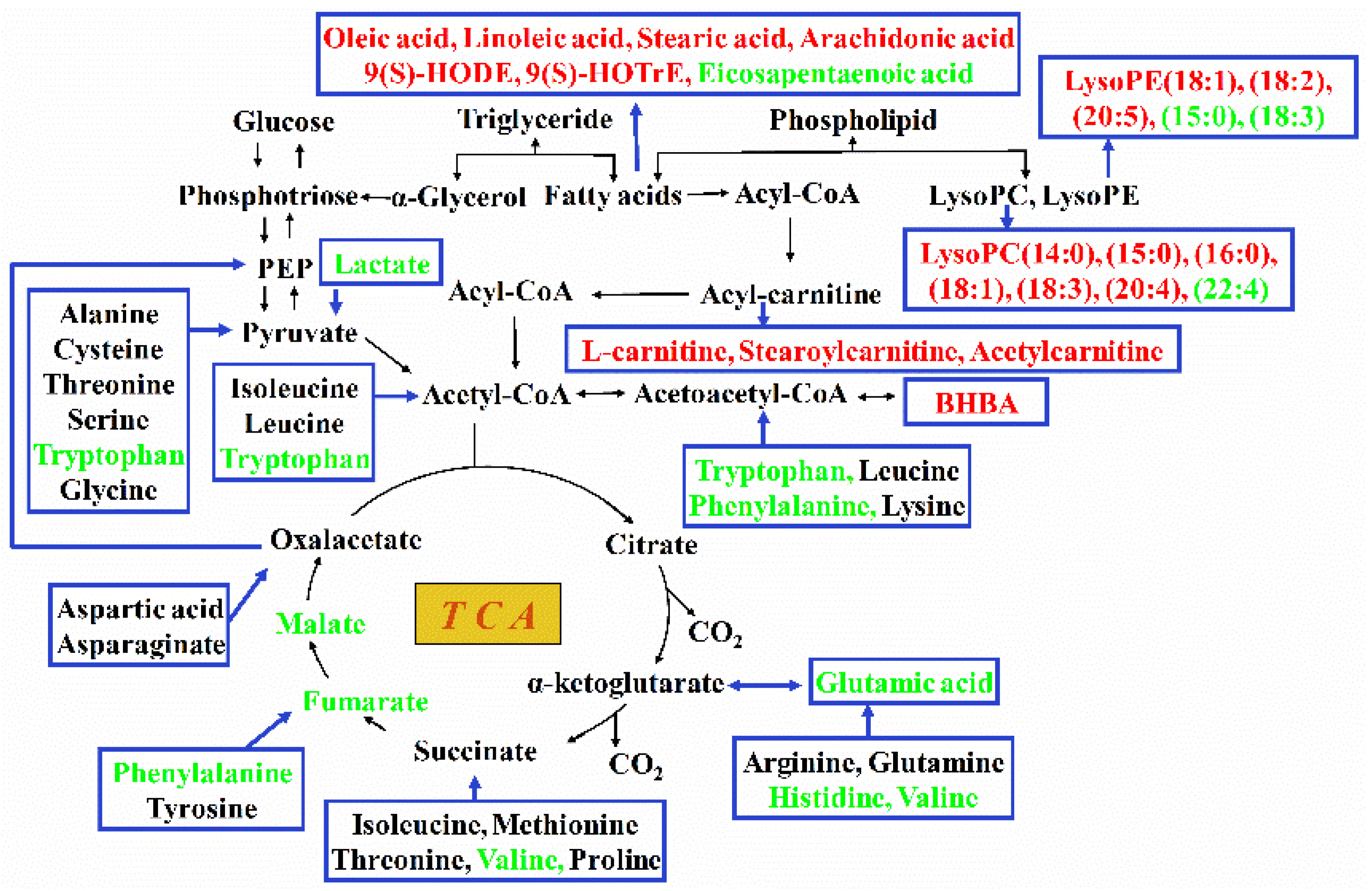 Metabolites 08 00085 g007 Metabolites 08 00085 g007