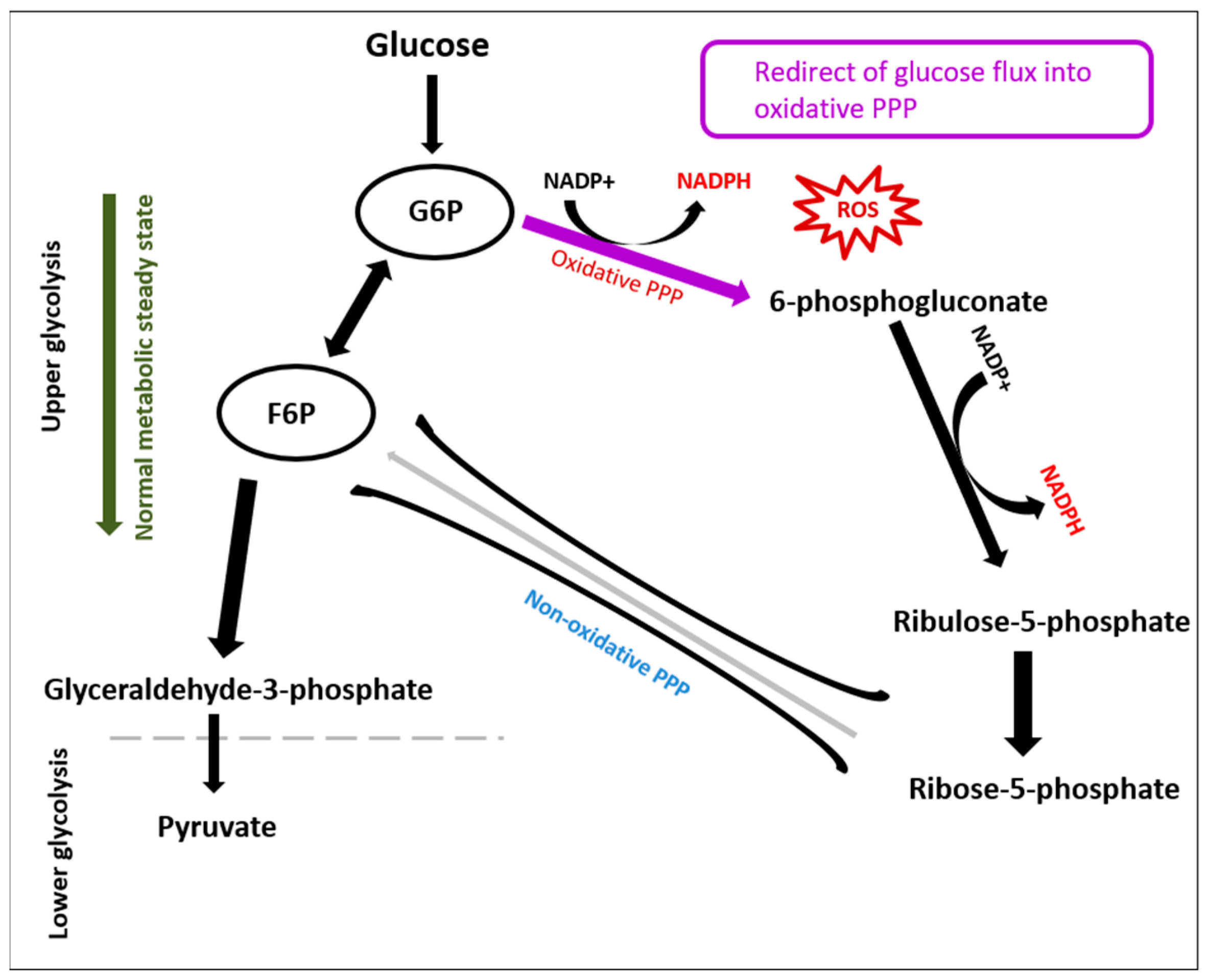 Metabolites 08 00087 g001 Metabolites 08 00087 g001