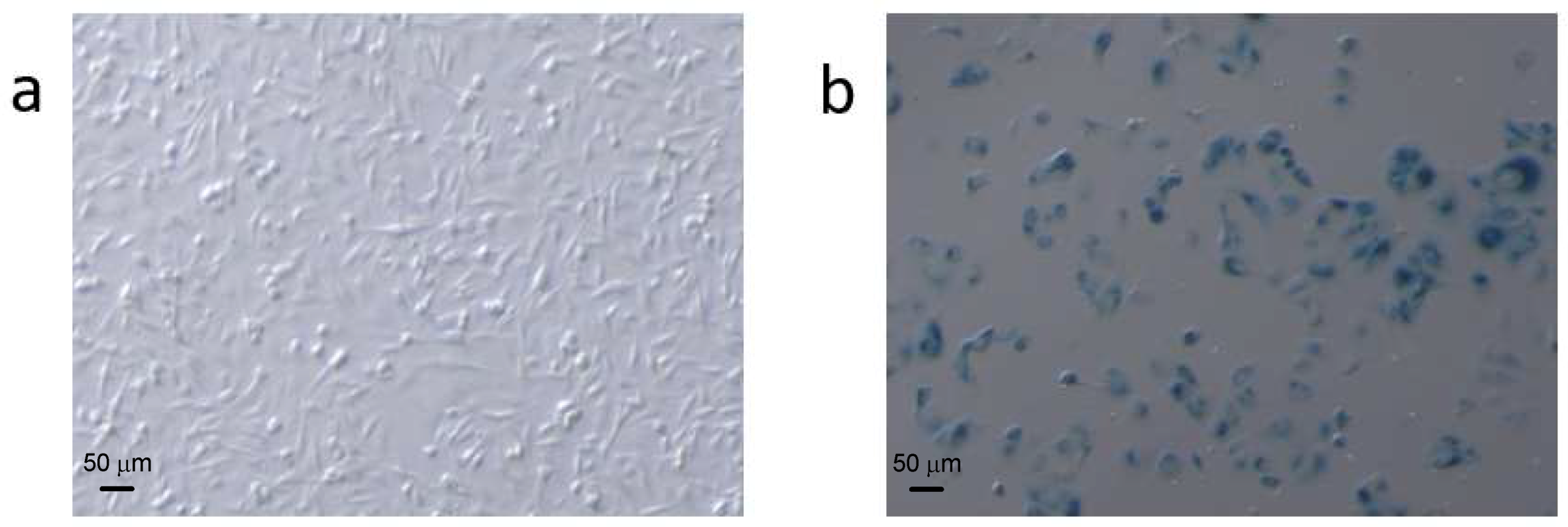 Metabolites 08 00095 g001