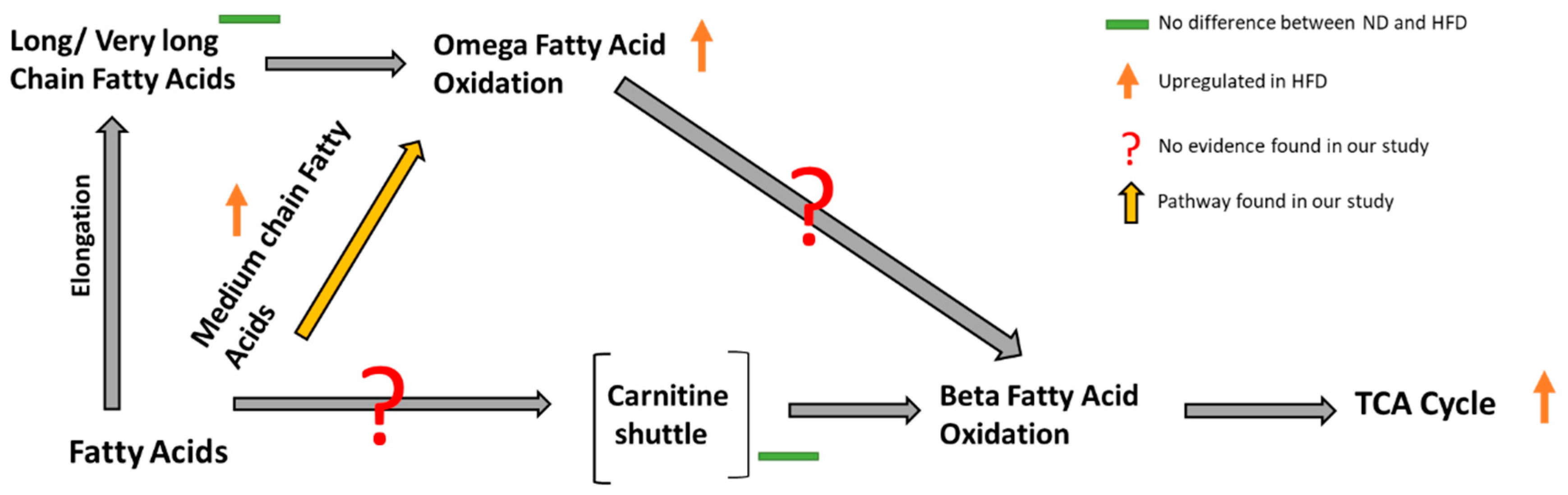 Metabolites 09 00005 g005 Metabolites 09 00005 g005