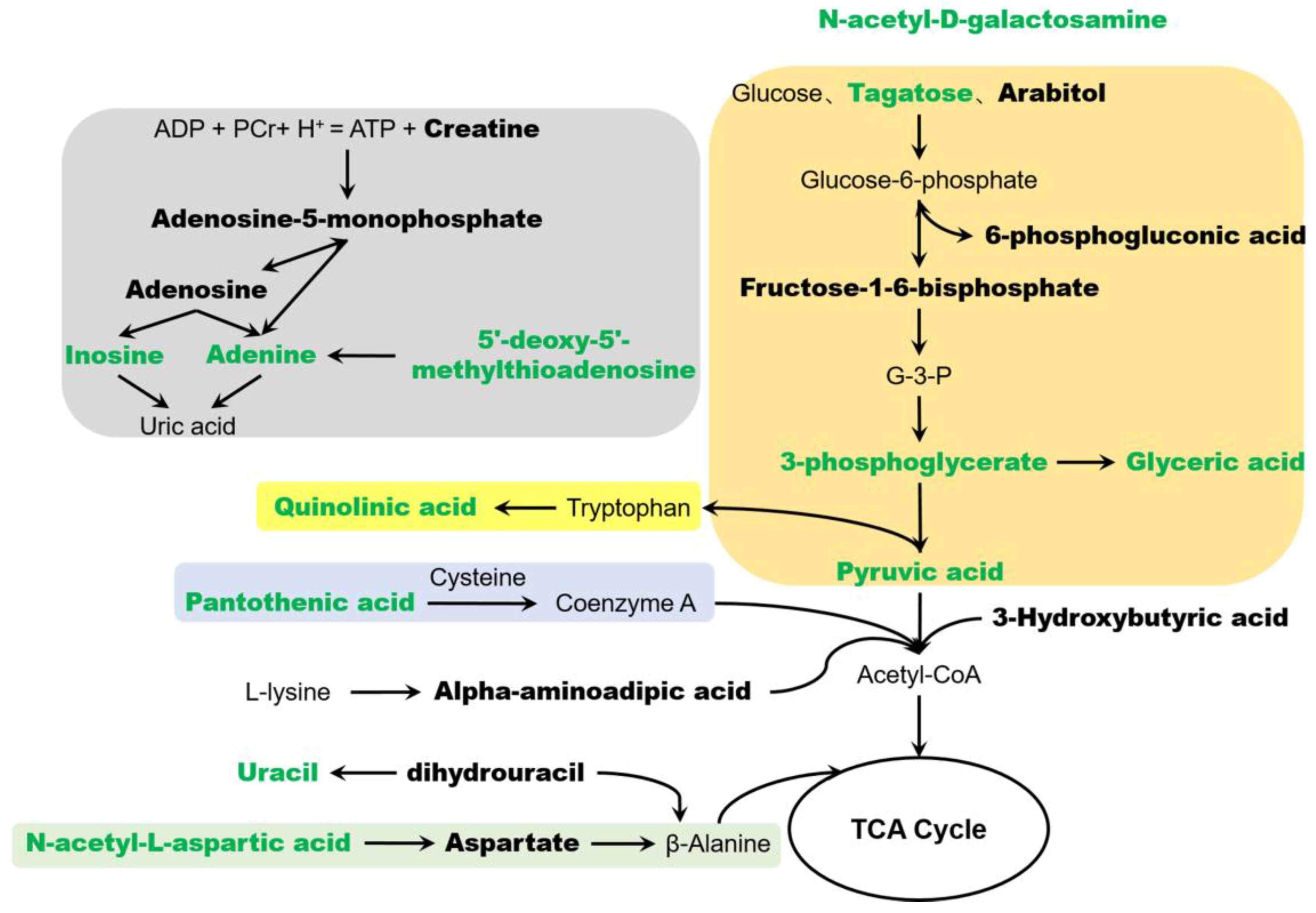 Metabolites 09 00006 g005 Metabolites 09 00006 g005