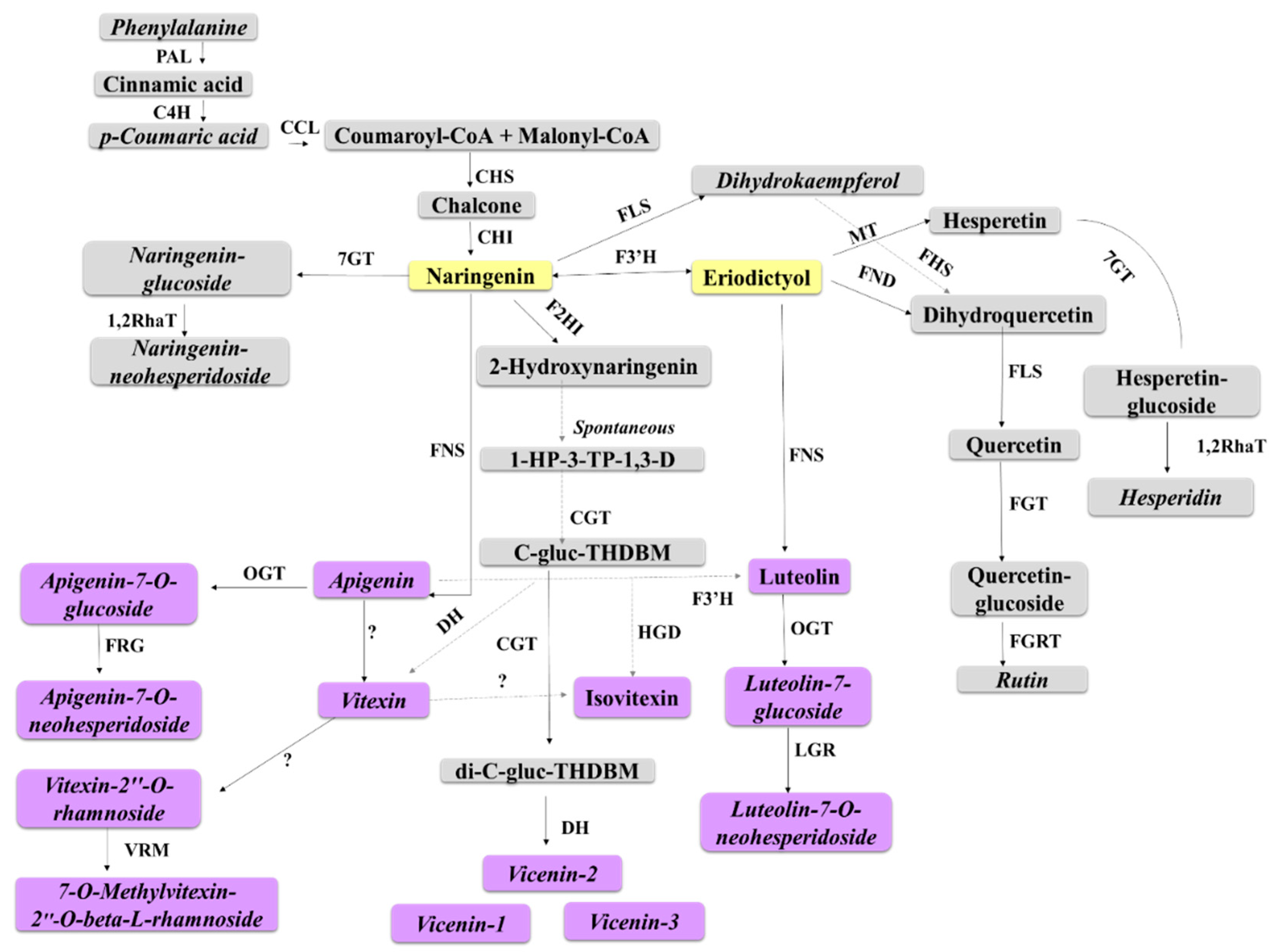 Metabolites 09 00008 g008 Metabolites 09 00008 g008