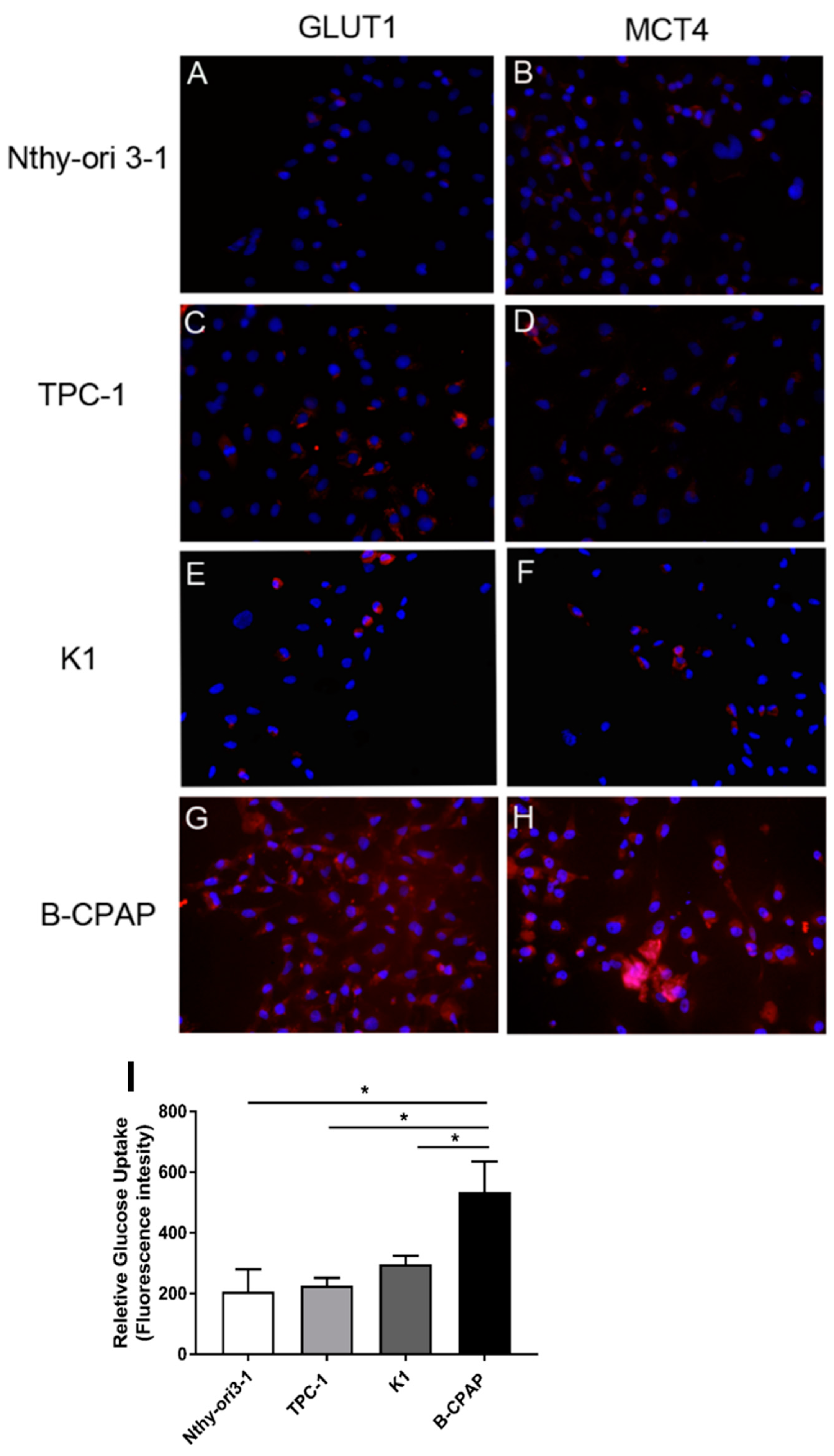 Metabolites 09 00023 g003 Metabolites 09 00023 g003
