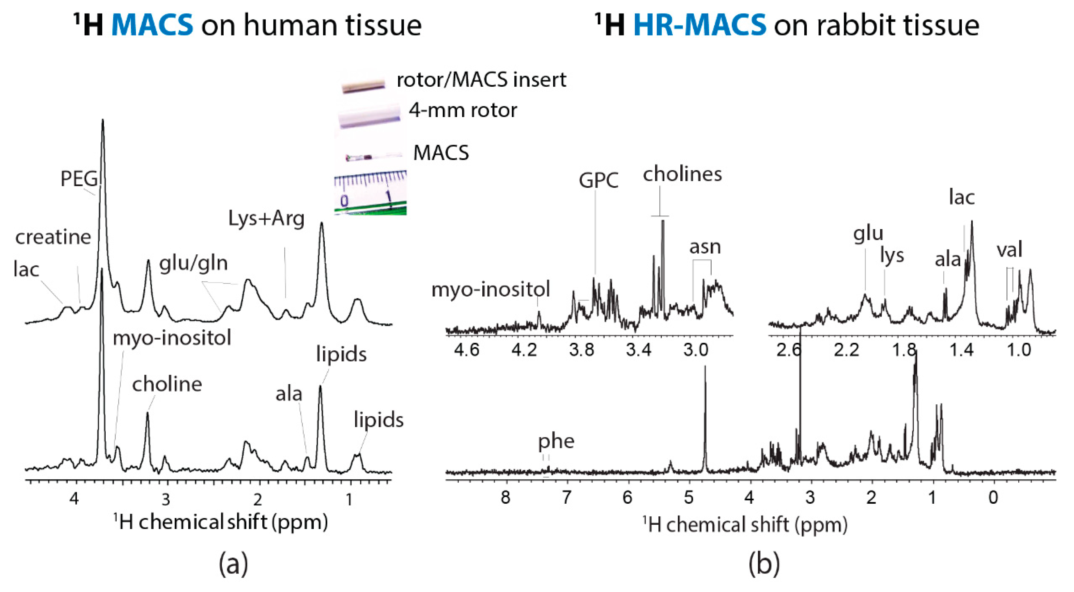 Metabolites 09 00029 g002 550
