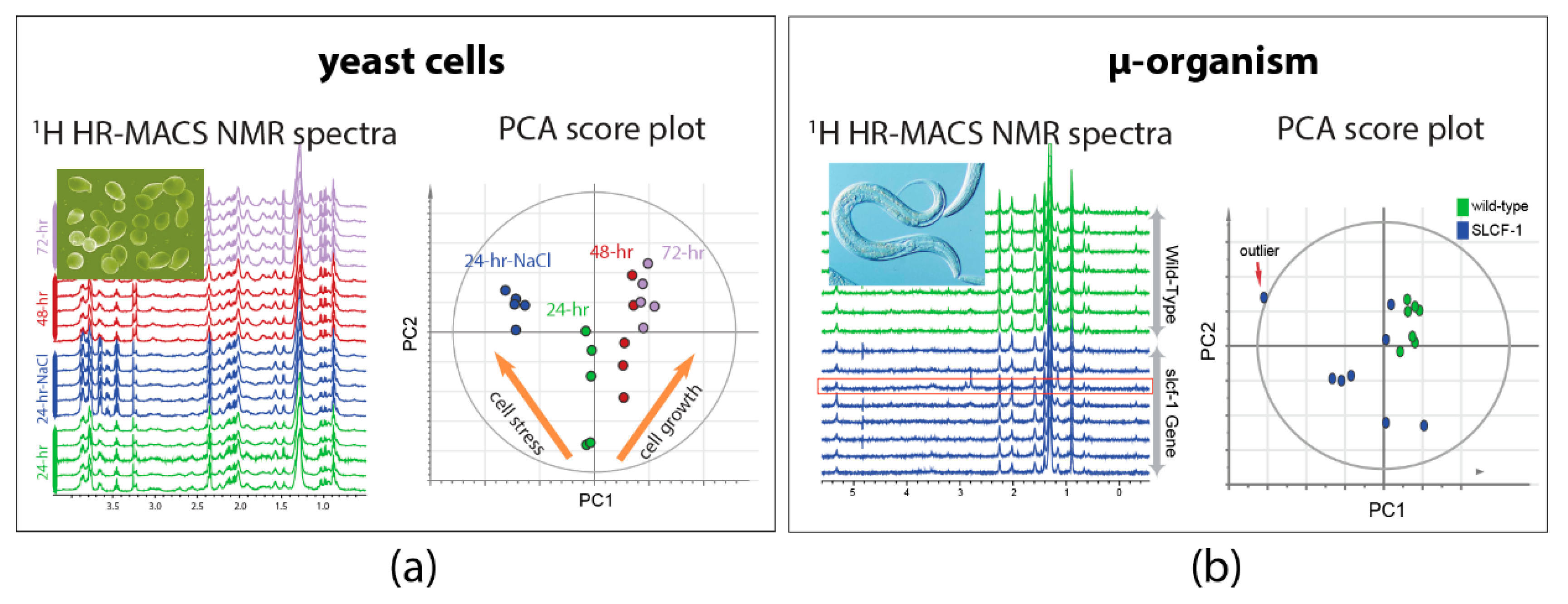 Metabolites 09 00029 g003 550