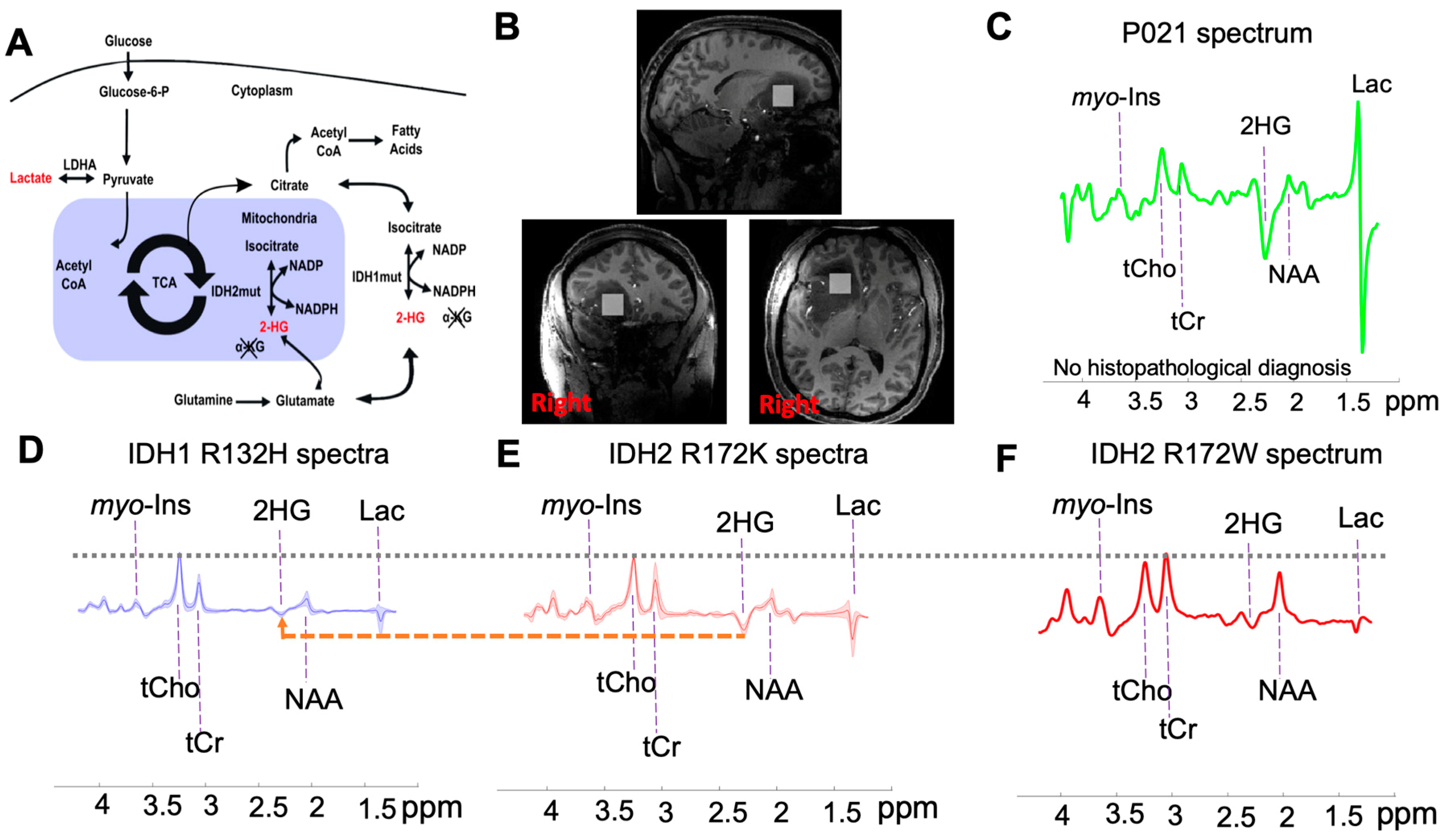 Metabolites 09 00035 g001 Metabolites 09 00035 g001