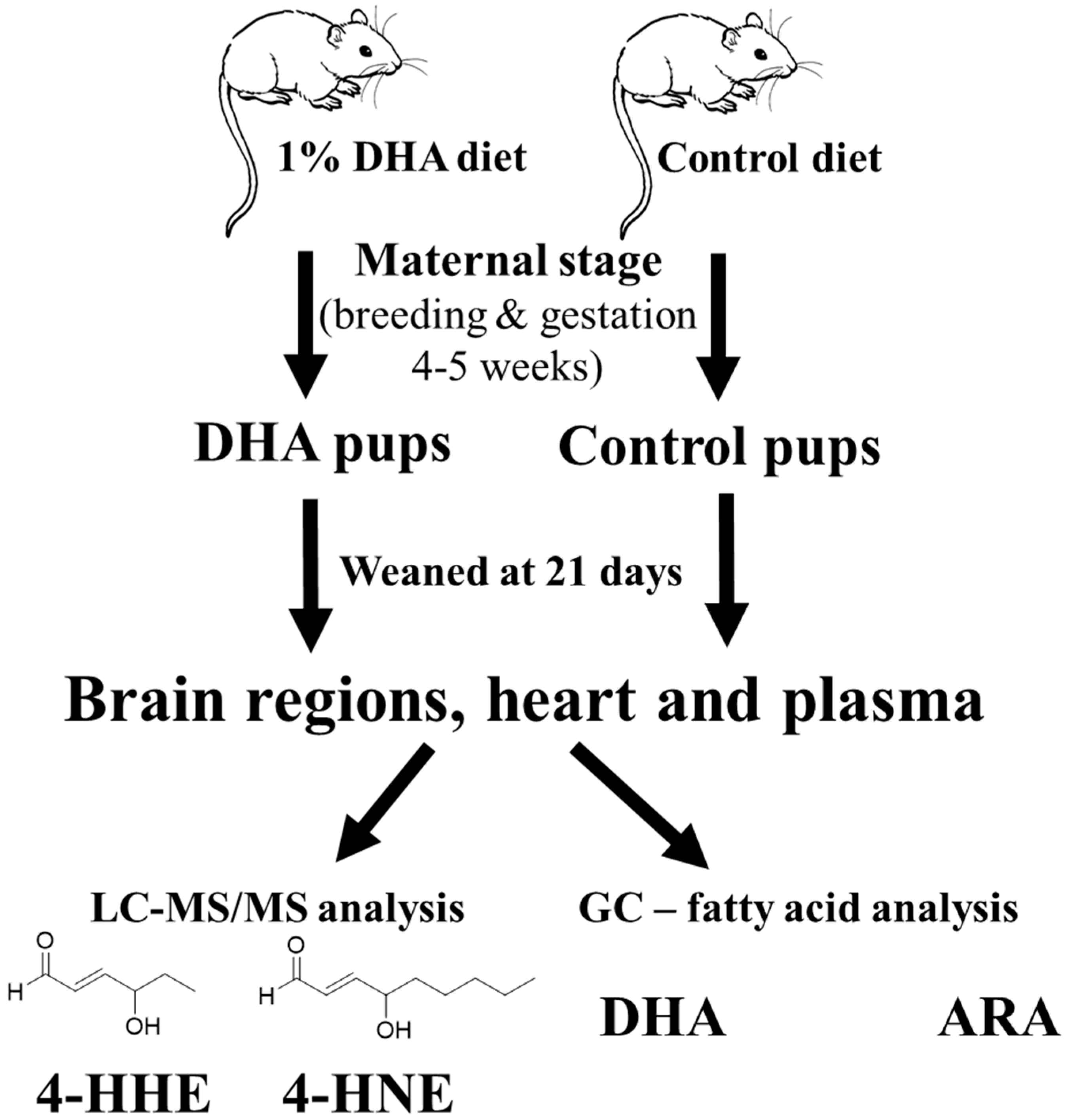 Metabolites 09 00040 g001 550