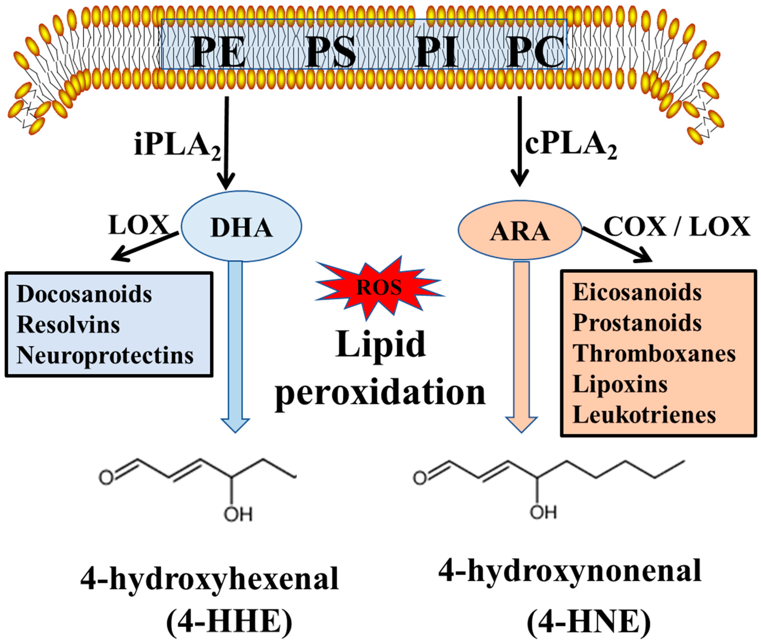 Metabolites 09 00040 g006 550