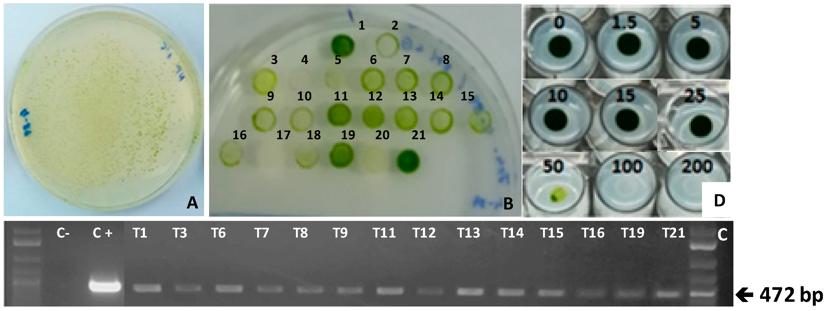 Metabolites 09 00049 g003