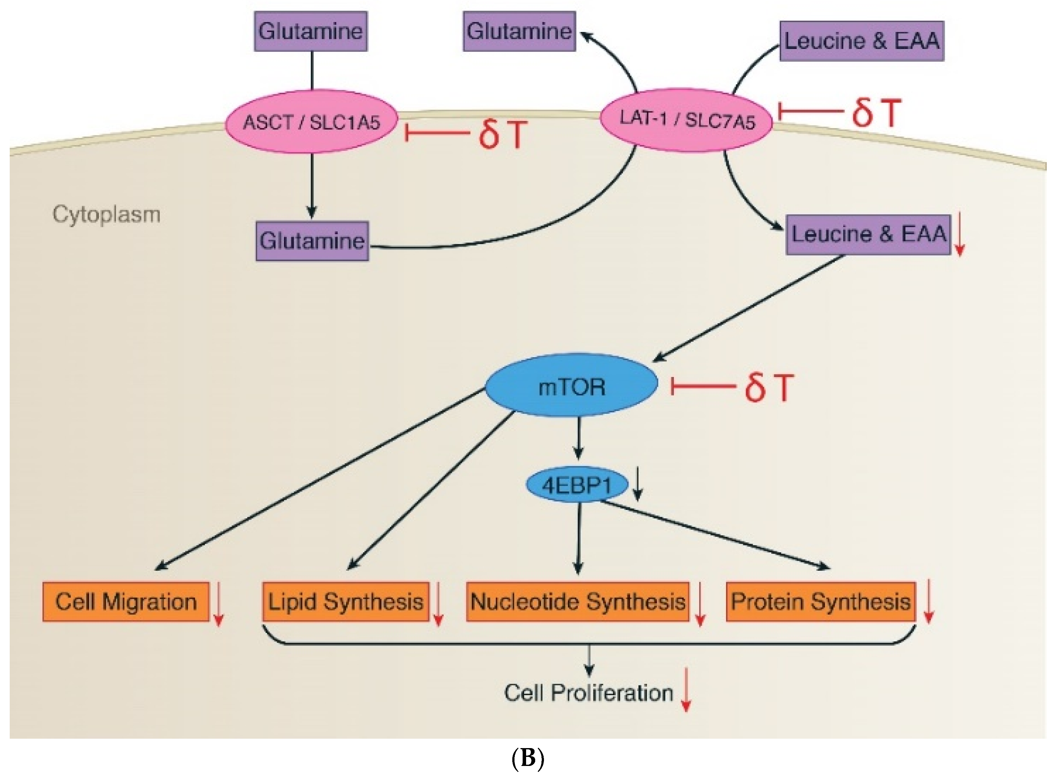 Metabolites 09 00050 g004b
