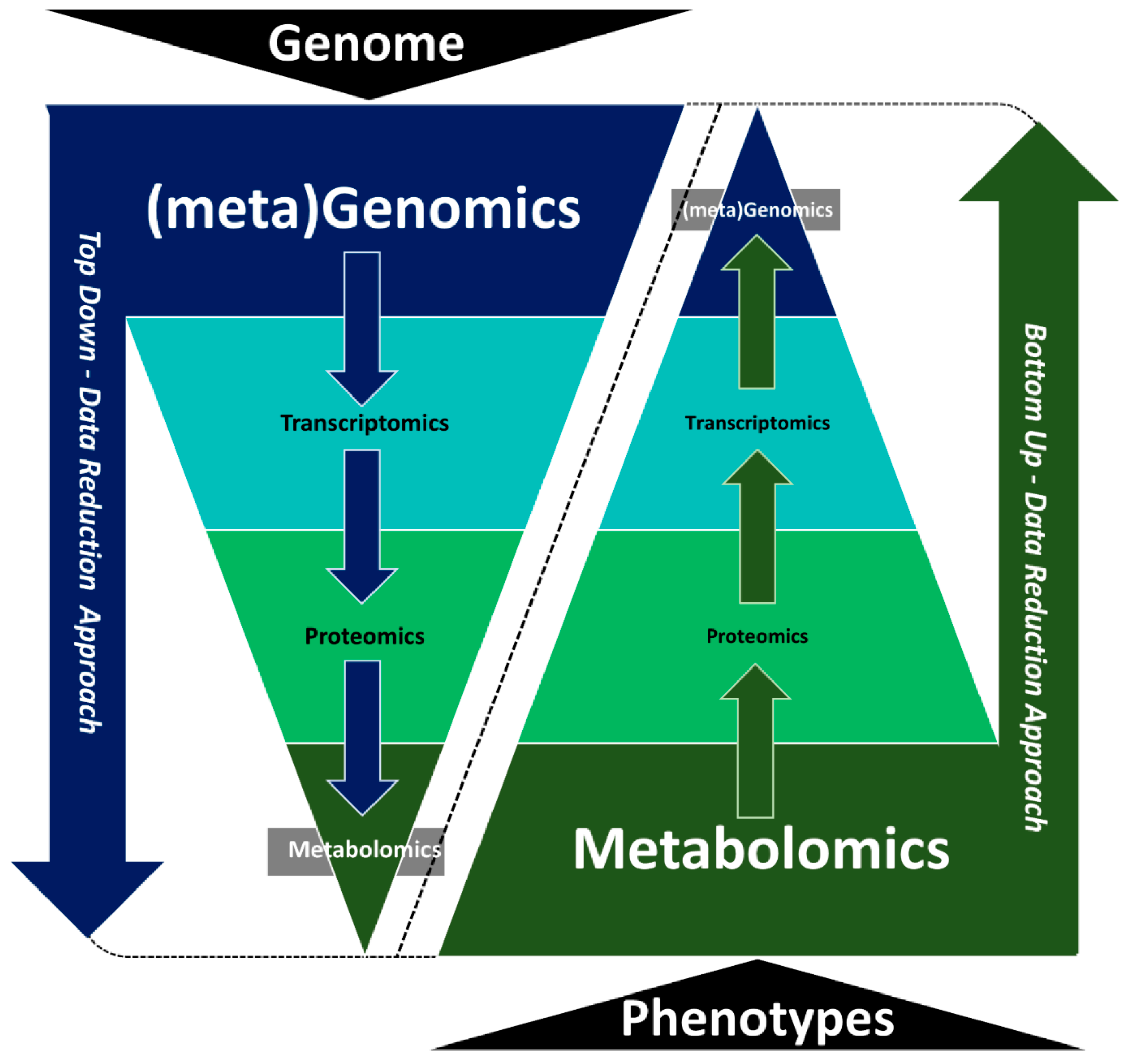 Metabolites 09 00076 g002