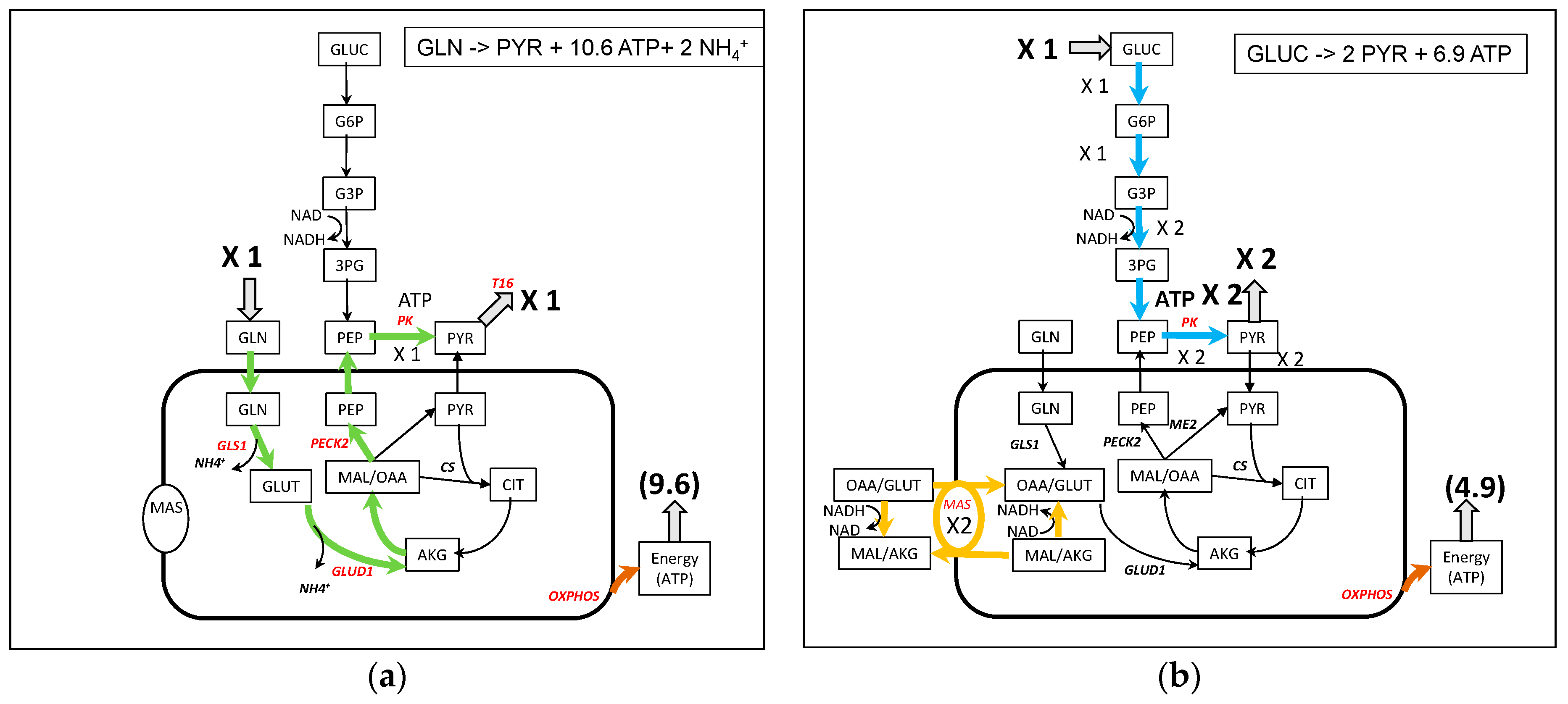 Metabolites 09 00081 g003